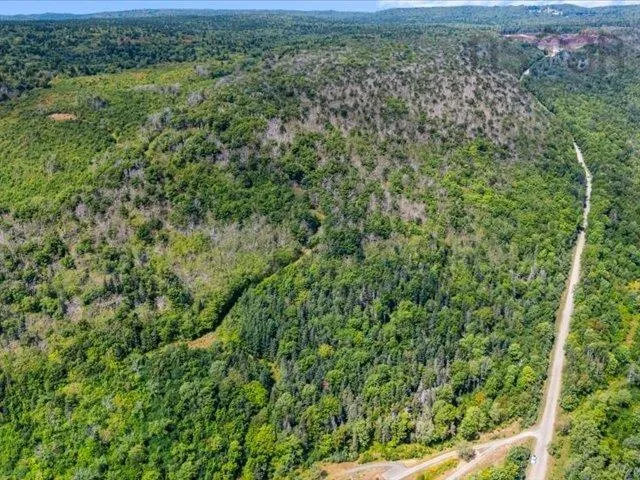 Haul Road, Grandique Ferry, NS B0S 1A0, ,Land,For Sale,Haul,202521083