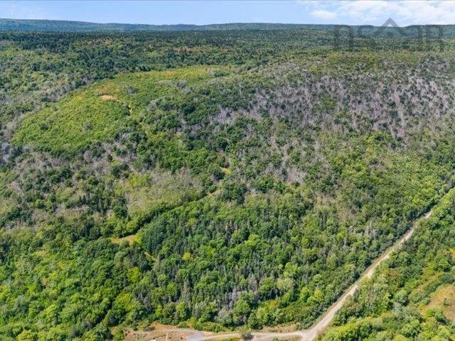 Haul Road, Grandique Ferry, NS B0S 1A0, ,Land,For Sale,Haul,202521083