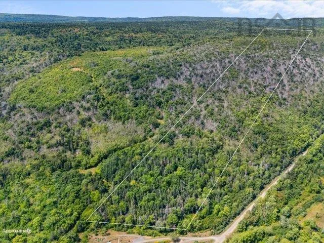 Haul Road, Grandique Ferry, NS B0S 1A0, ,Land,For Sale,Haul,202521083