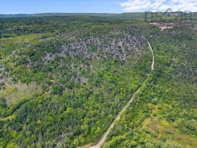 Haul Road, Grandique Ferry, NS B0S 1A0, ,Land,For Sale,Haul,202521083