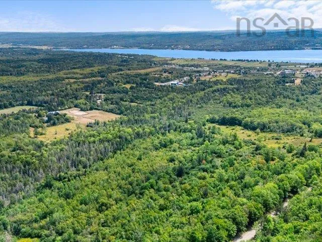 Haul Road, Grandique Ferry, NS B0S 1A0, ,Land,For Sale,Haul,202521083