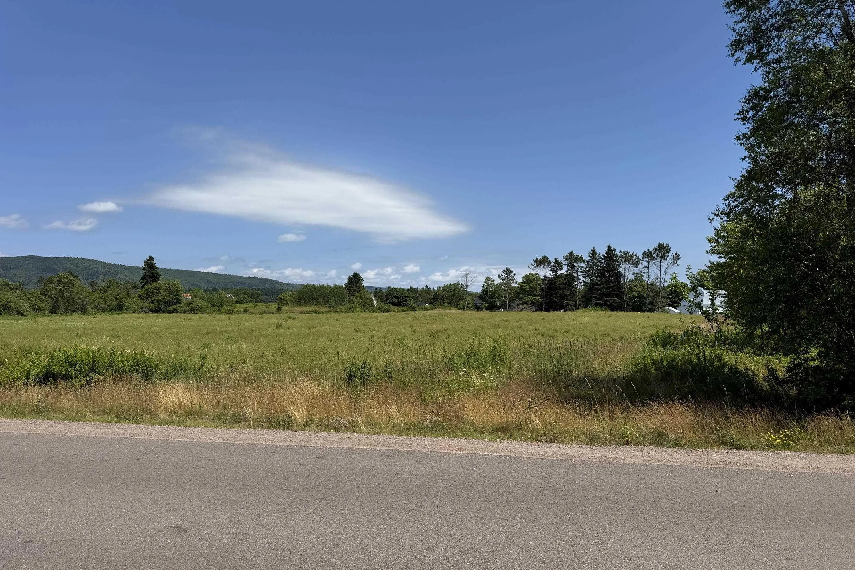 Templar Street, Parrsboro, NS B0M 1S0, ,Land,For Sale,Templar,202518086