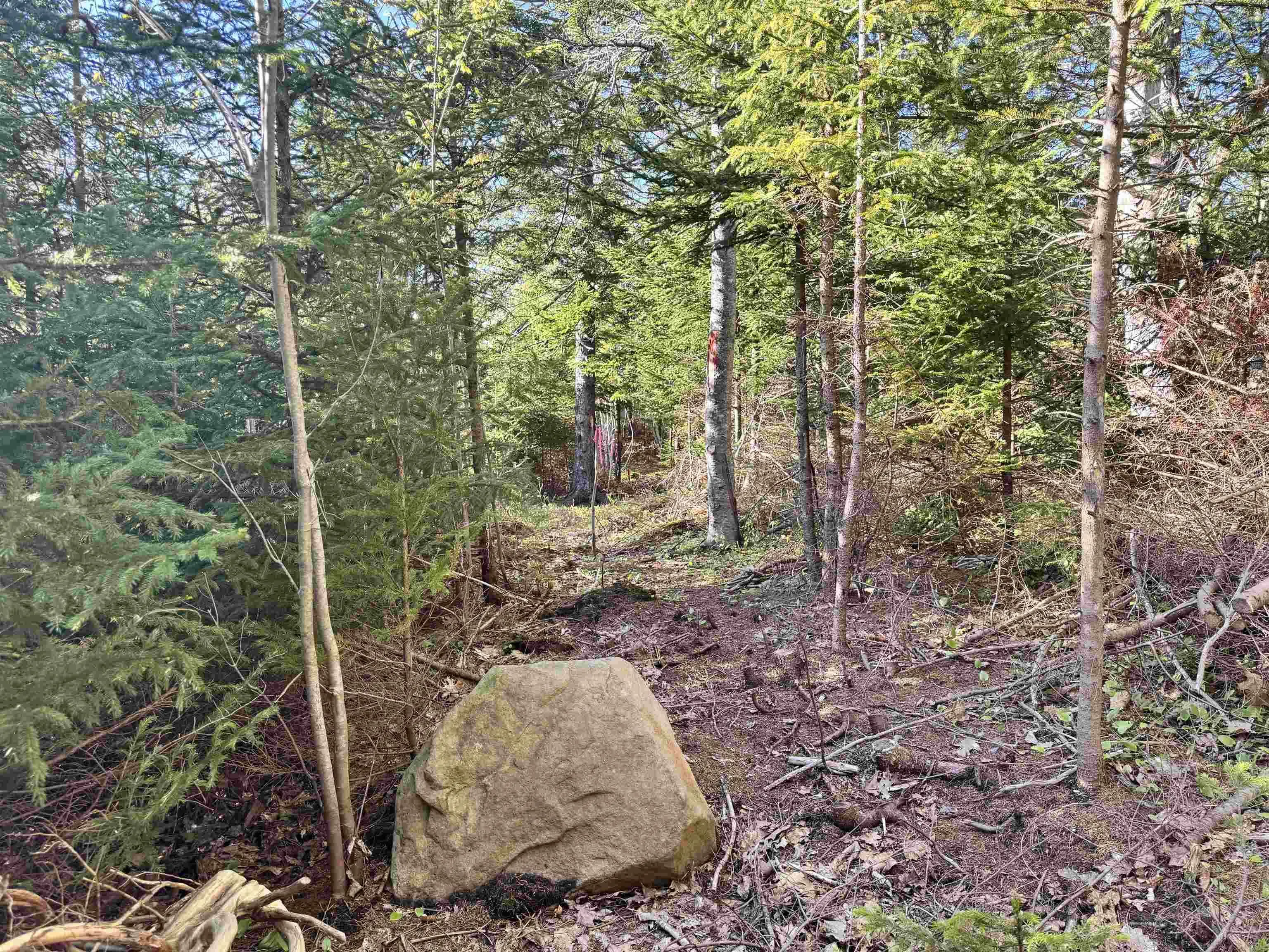 24-2 Forest Drive Extension, Pictou, NS B0K 1H0, ,Land,For Sale,Forest Drive,202512060