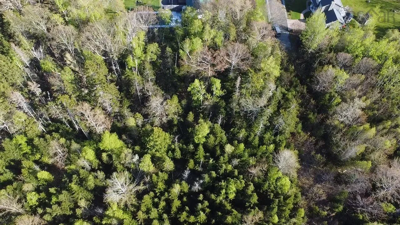 24-2 Forest Drive Extension, Pictou, NS B0K 1H0, ,Land,For Sale,Forest Drive,202512060