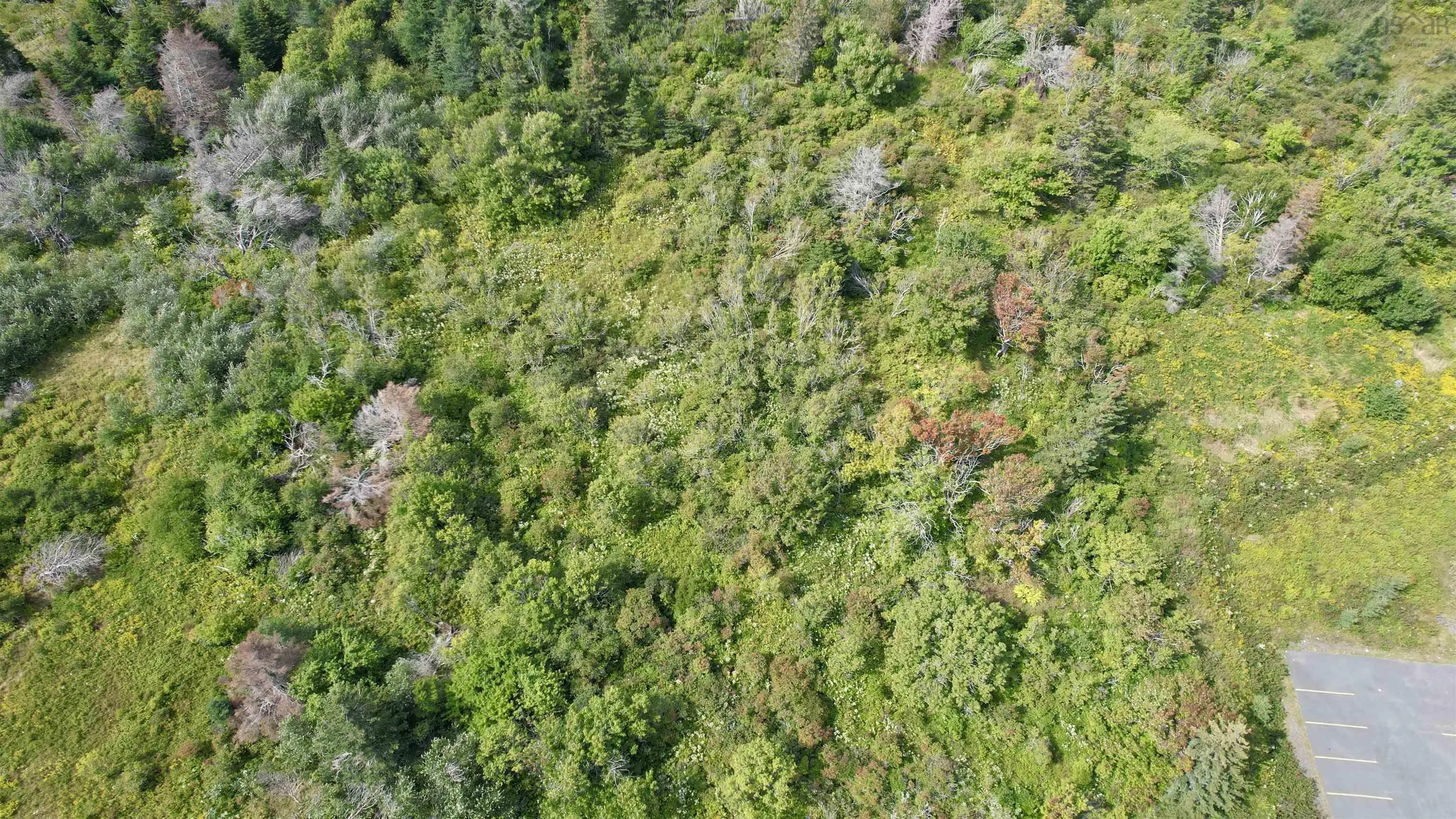 0 255 Highway, Port Morien, NS B2B 1V8, ,Land,For Sale,255,202523392