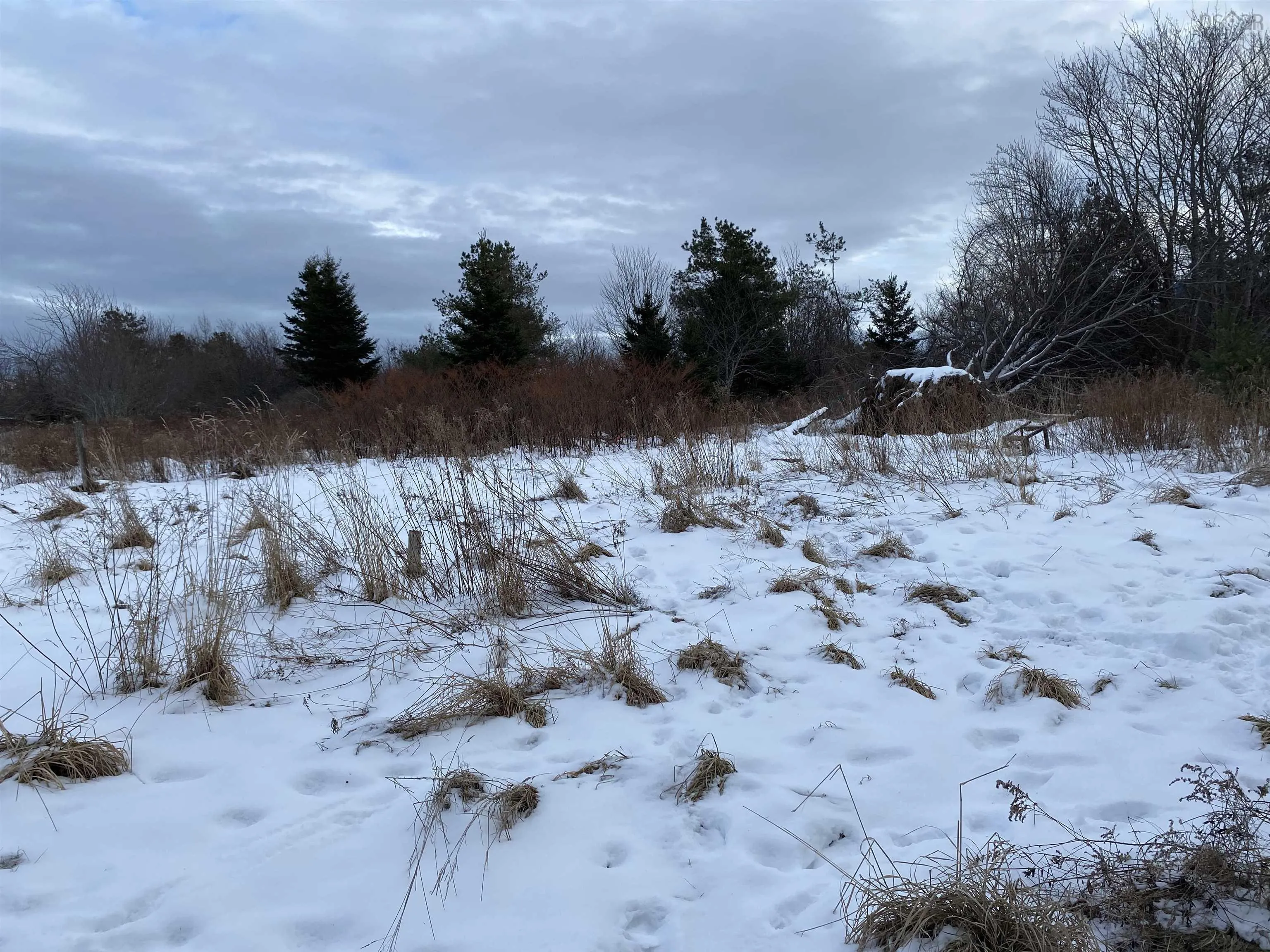 234 Wellington Street, Pictou Ns B0k 1h0, ,Land,For Sale,Wellington,202501184