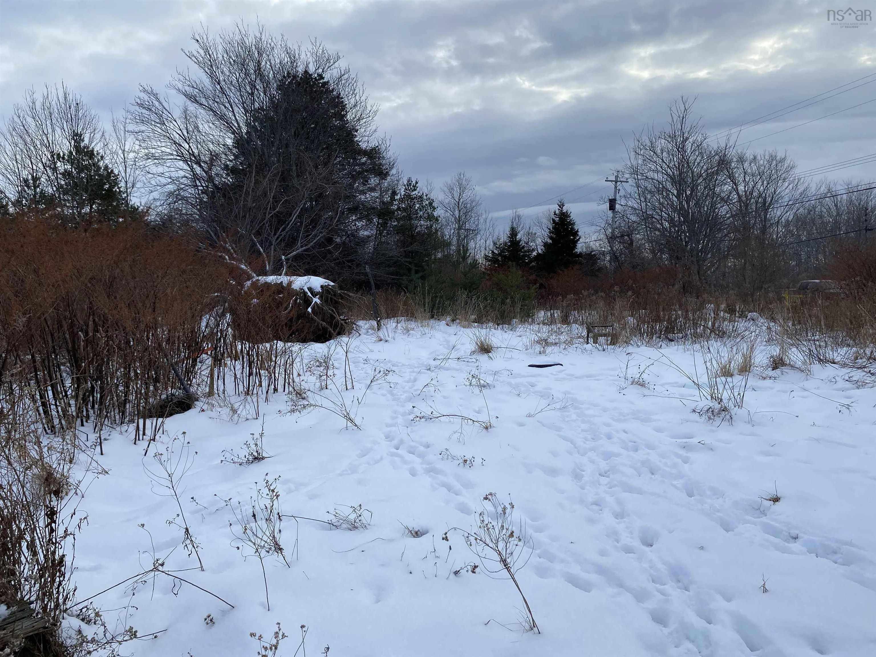 234 Wellington Street, Pictou Ns B0k 1h0, ,Land,For Sale,Wellington,202501184