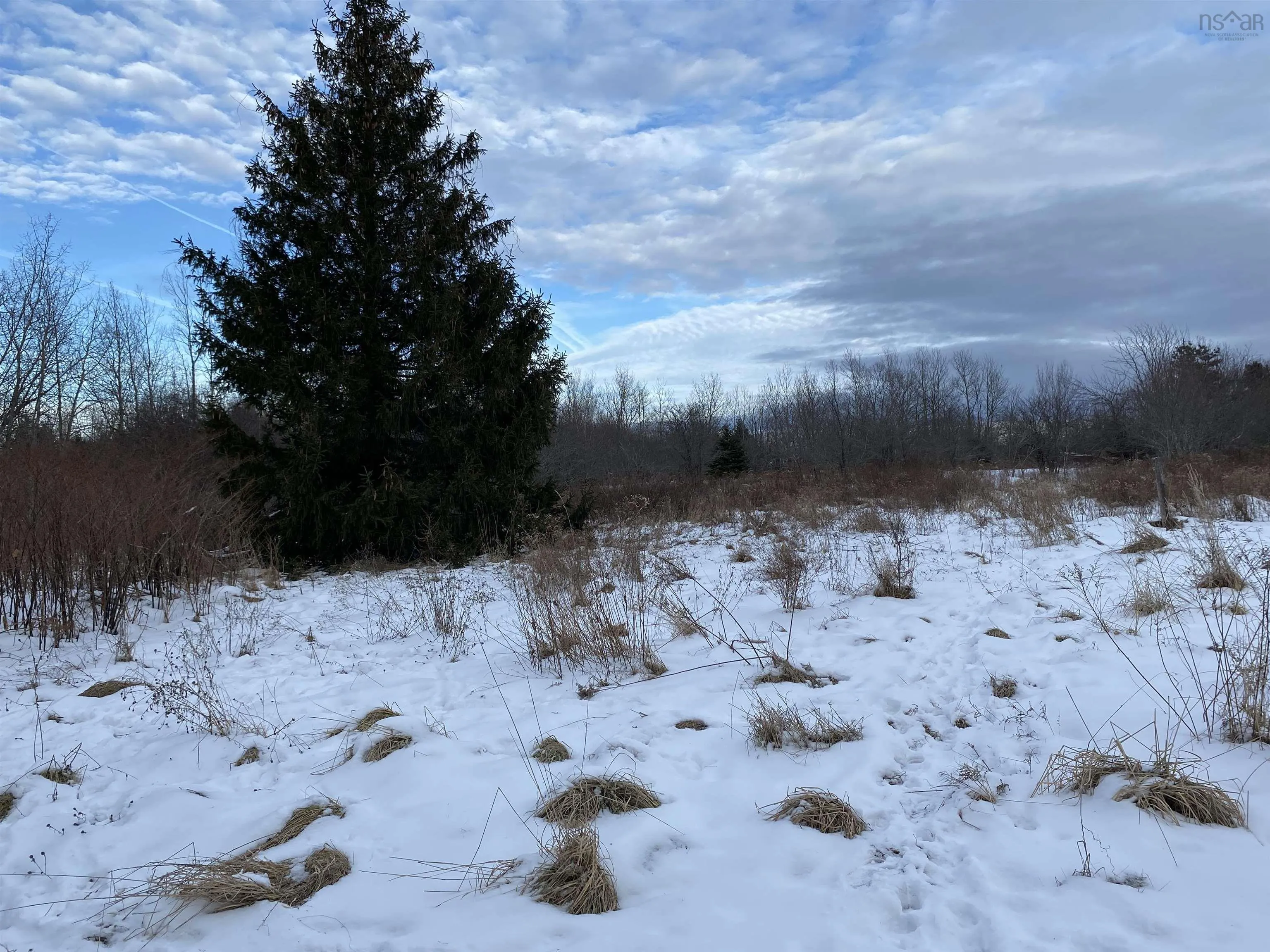 234 Wellington Street, Pictou Ns B0k 1h0, ,Land,For Sale,Wellington,202501184
