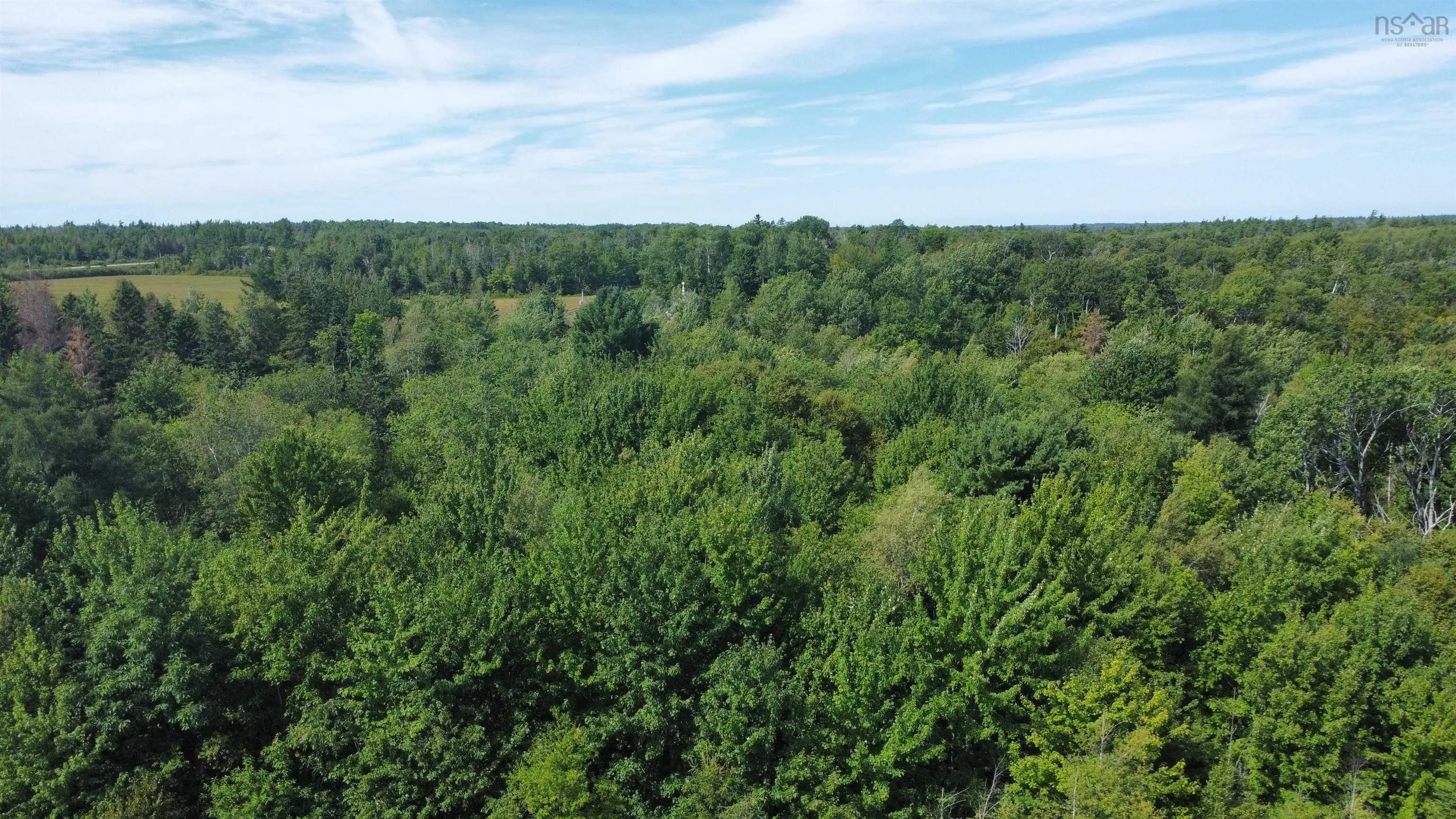 25-2 #368 Highway, Wentworth, NS B0M 1Z0, ,Land,For Sale,Highway #368,202521734