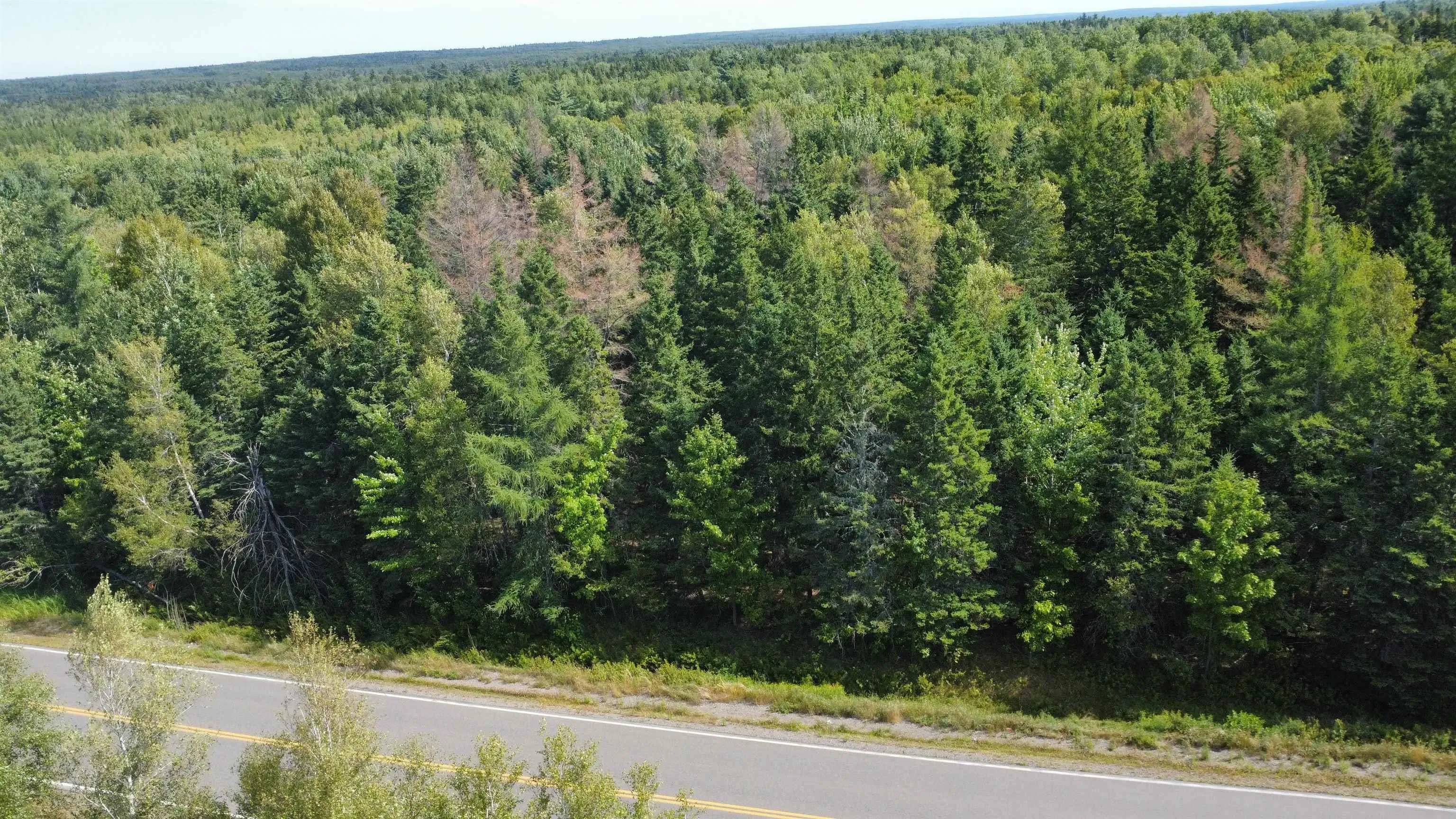 25-2 #368 Highway, Wentworth, NS B0M 1Z0, ,Land,For Sale,Highway #368,202521734