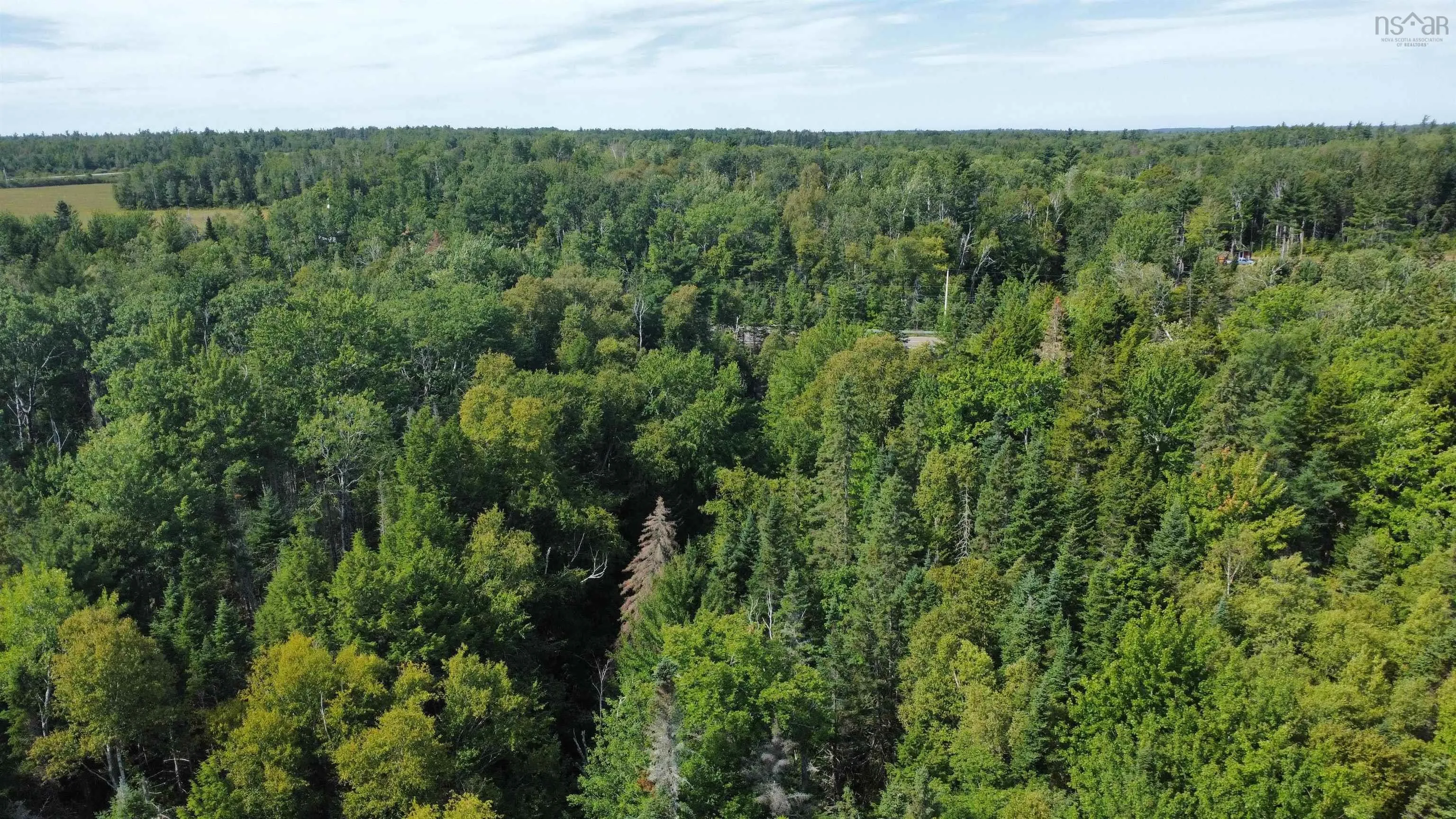 25-2 #368 Highway, Wentworth, NS B0M 1Z0, ,Land,For Sale,Highway #368,202521734