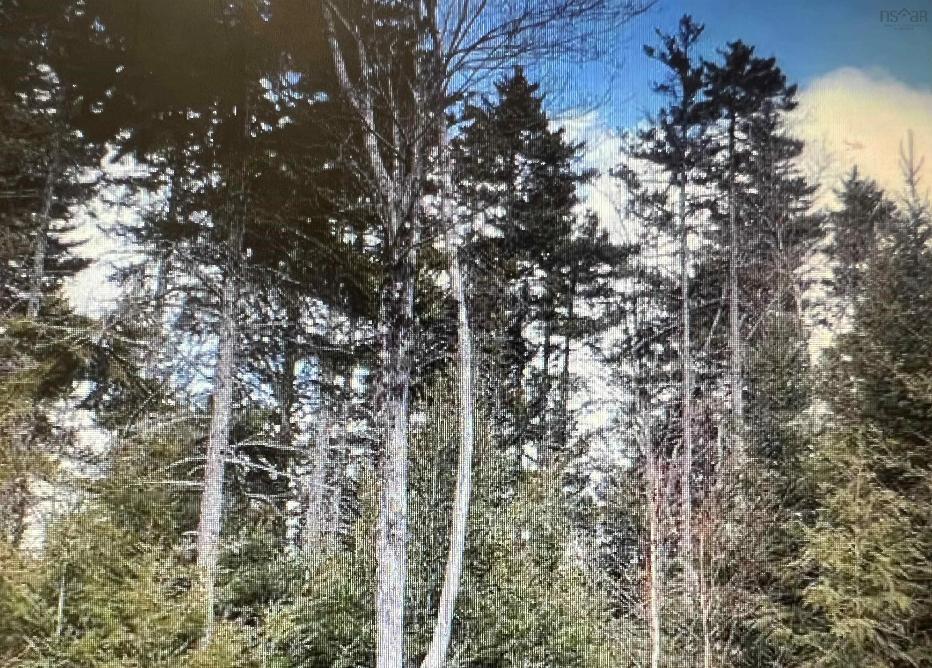 R3-7r Highway 2 Highway, Oakfield Ns B2t 1b3, ,Land,For Sale,Highway 2,202500765