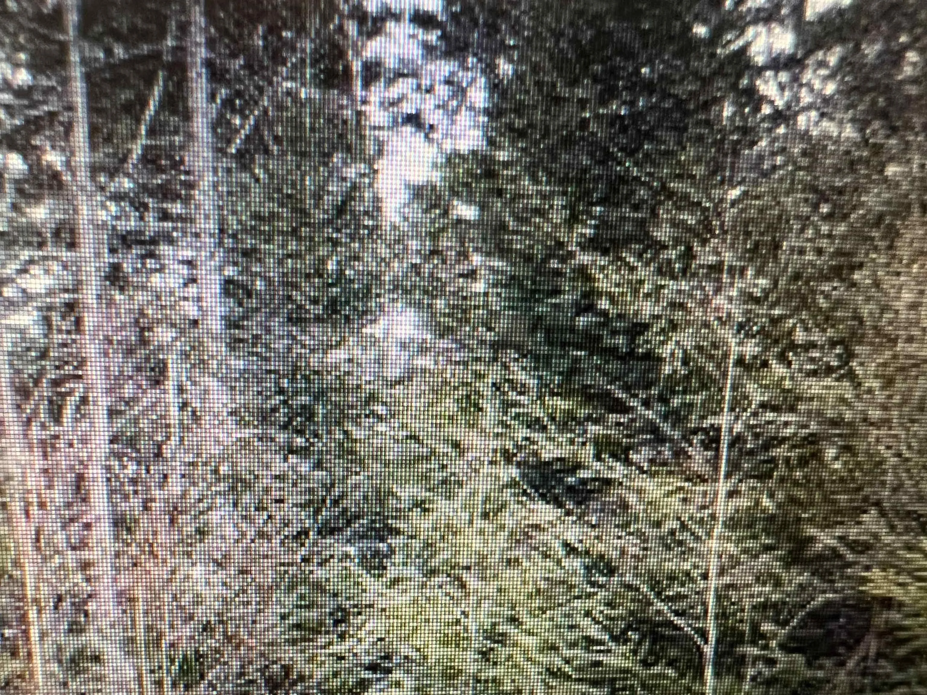 R3-7r Highway 2 Highway, Oakfield Ns B2t 1b3, ,Land,For Sale,Highway 2,202500765