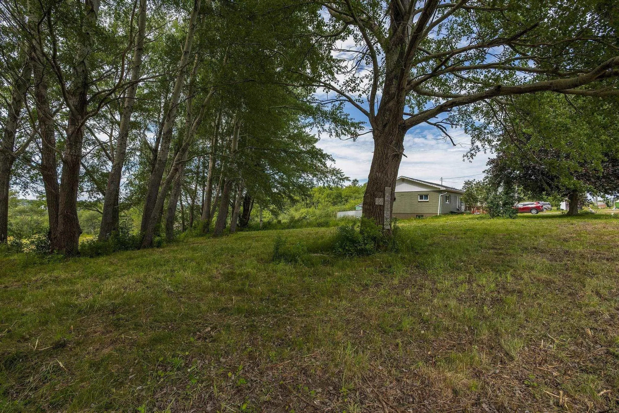 143 Robinson Weir Road, Conway, NS B0V 1A0, ,Land,For Sale,Robinson Weir,202516838