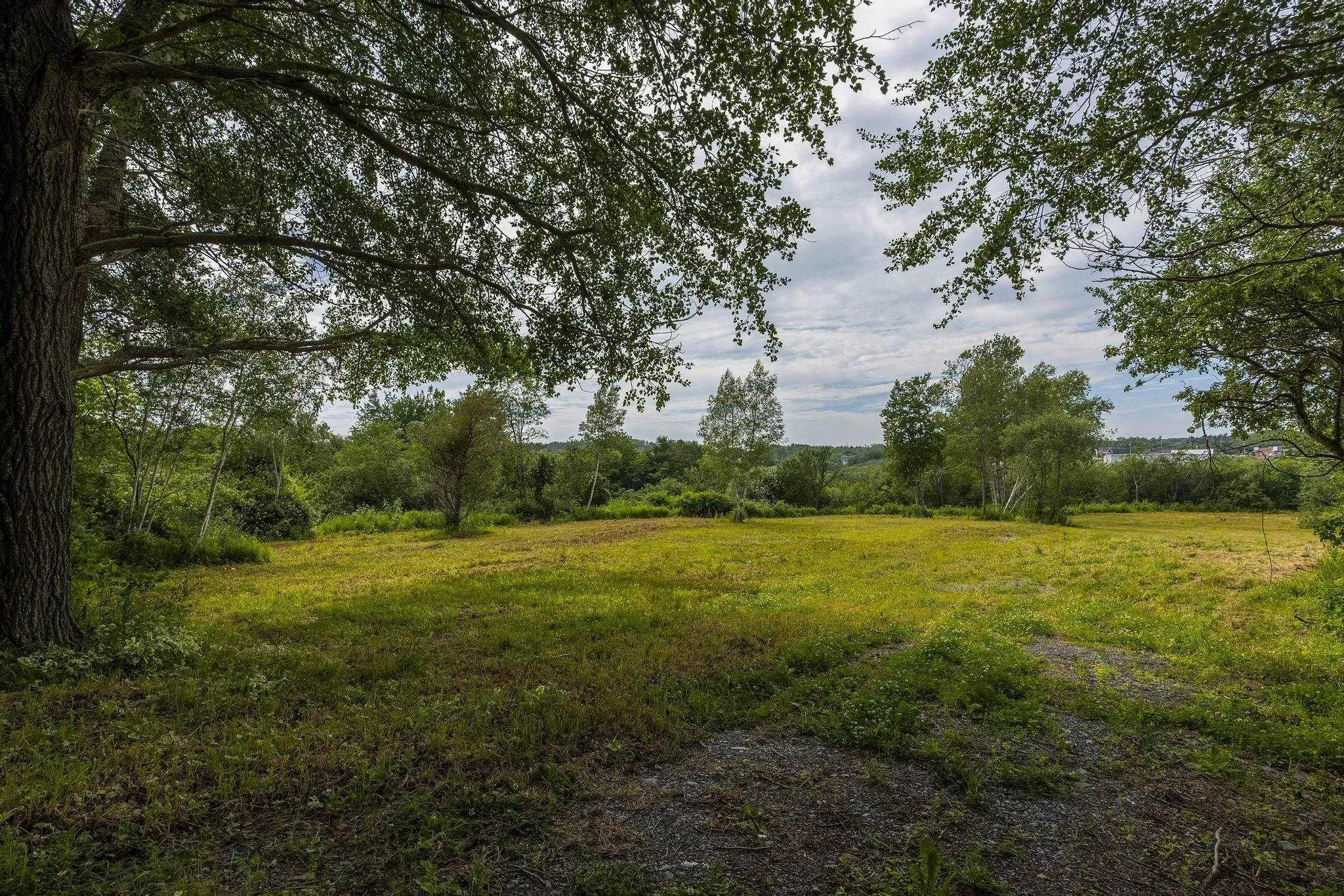 143 Robinson Weir Road, Conway, NS B0V 1A0, ,Land,For Sale,Robinson Weir,202516838