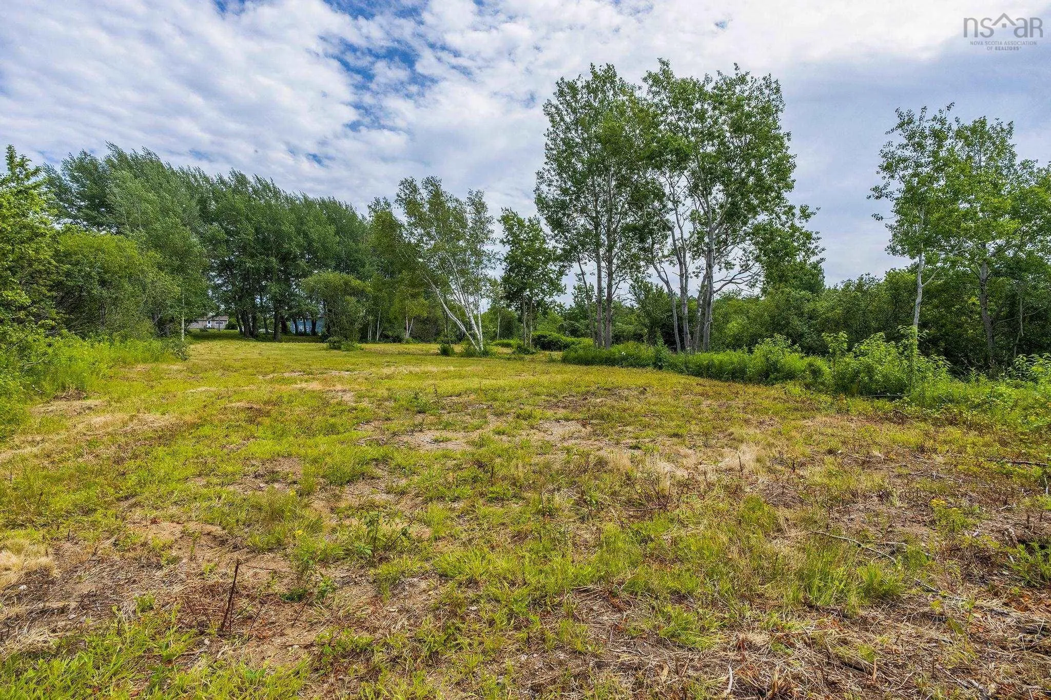 143 Robinson Weir Road, Conway, NS B0V 1A0, ,Land,For Sale,Robinson Weir,202516838