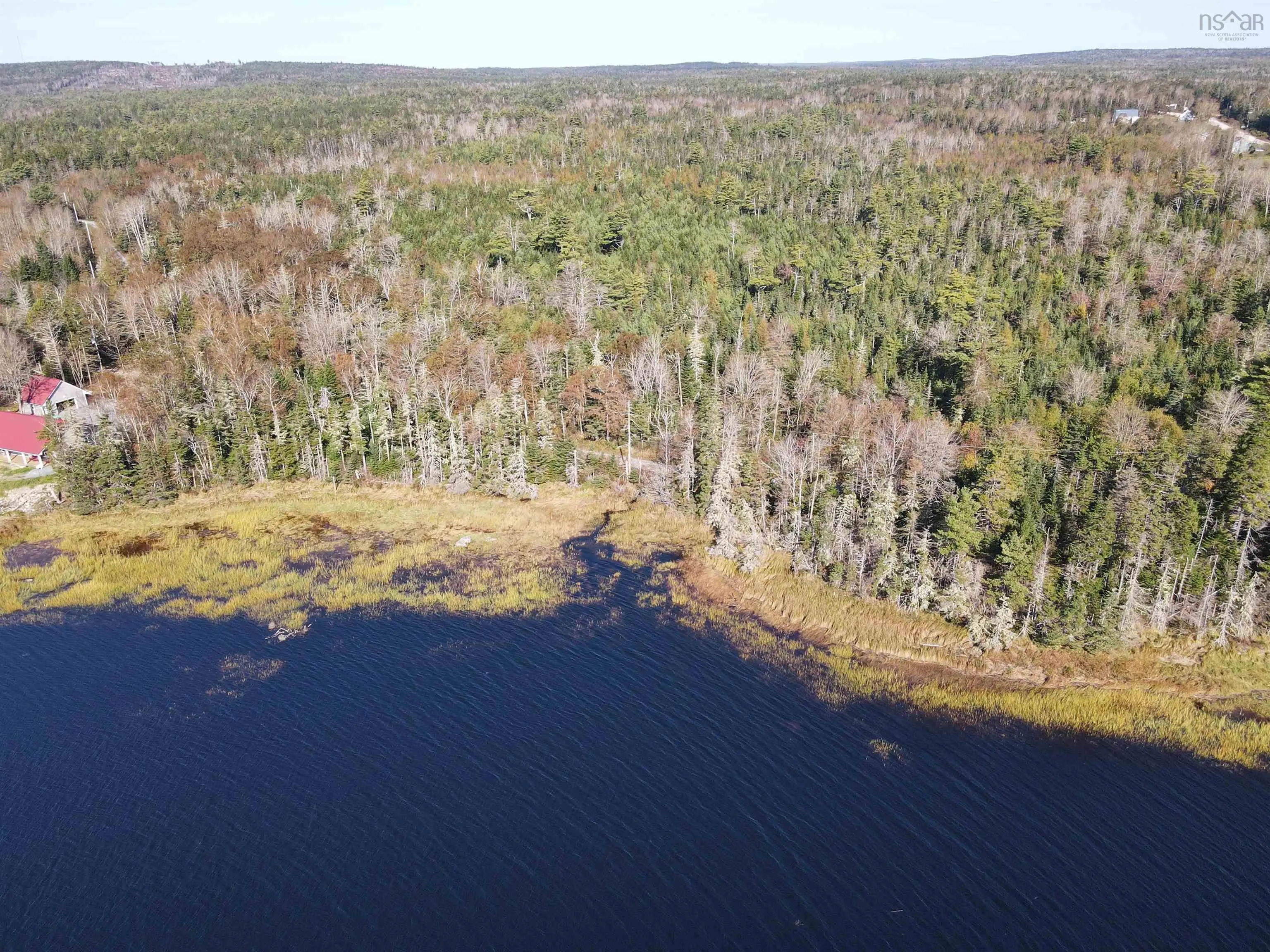 Leneton Road, East Port Medway Ns B0j 2h0, ,Land,For Sale,Leneton,202321179