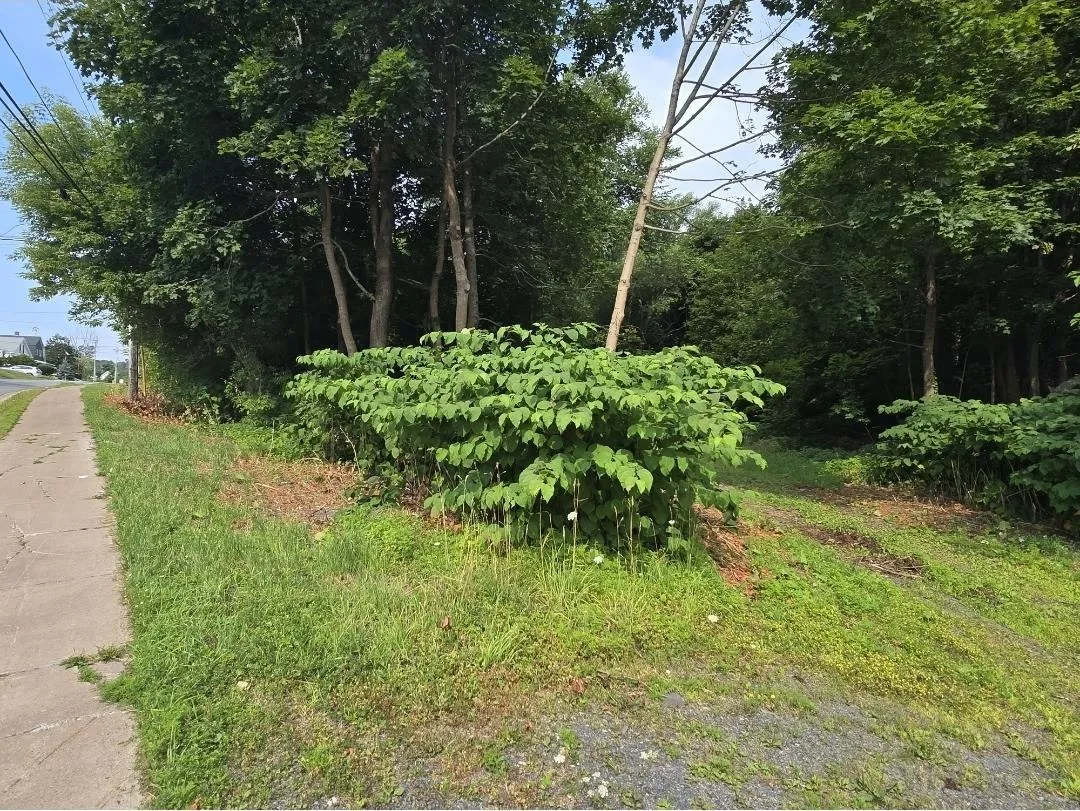 23 Munroe Avenue, New Glasgow, NS B2H 2C8, ,Land,For Sale,Munroe,202520021