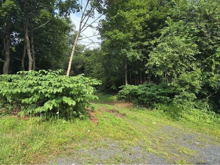 23 Munroe Avenue, New Glasgow, NS B2H 2C8, ,Land,For Sale,Munroe,202520021