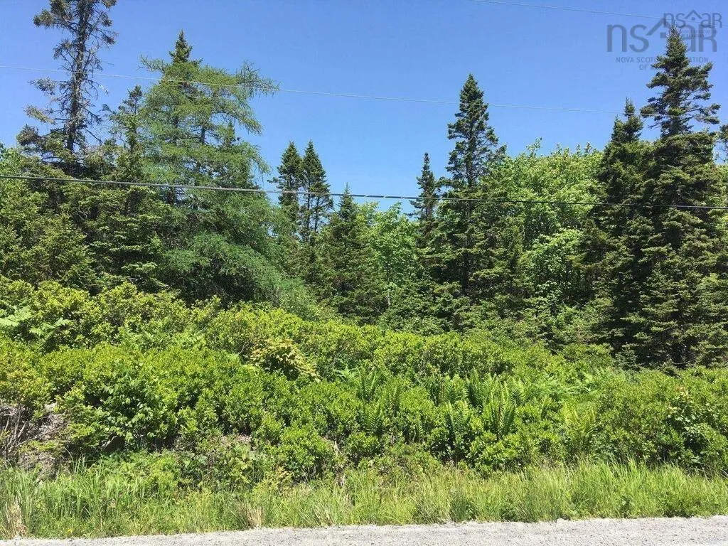 Nil Red Head Road, Atlantic, NS B0T 1W0, ,Land,For Sale,Red Head,202522973