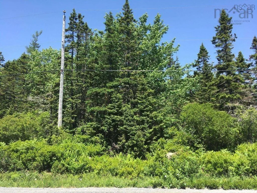 Nil Red Head Road, Atlantic, NS B0T 1W0, ,Land,For Sale,Red Head,202522973