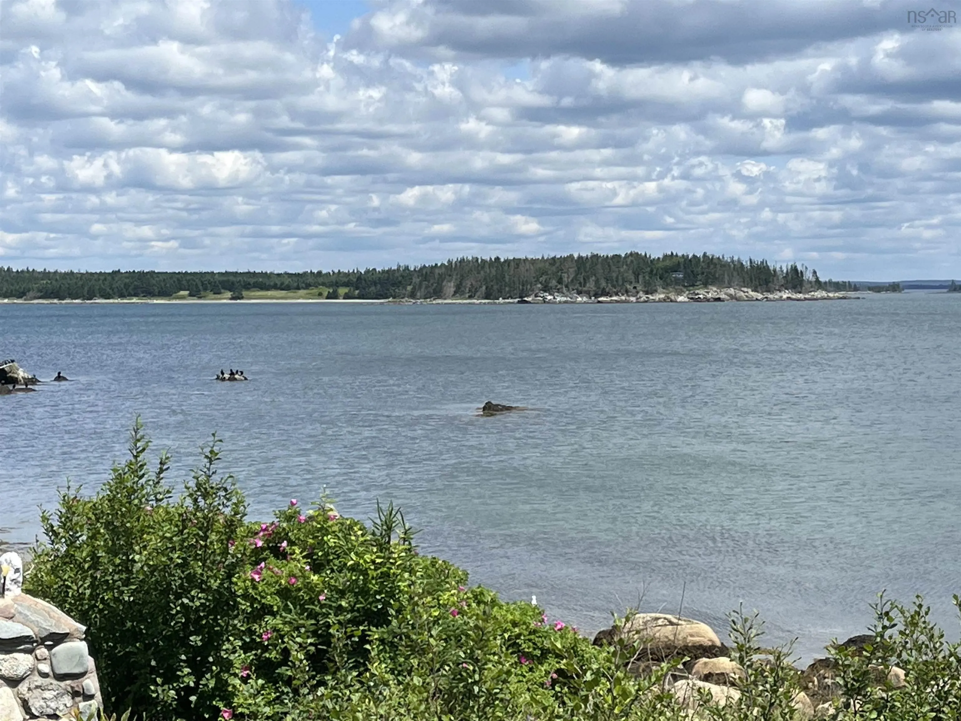 2584 West Ship Harbour Road, Owls Head Harbour, NS B3J 3A5, ,Land,For Sale,West Ship Harbour Road,202516217