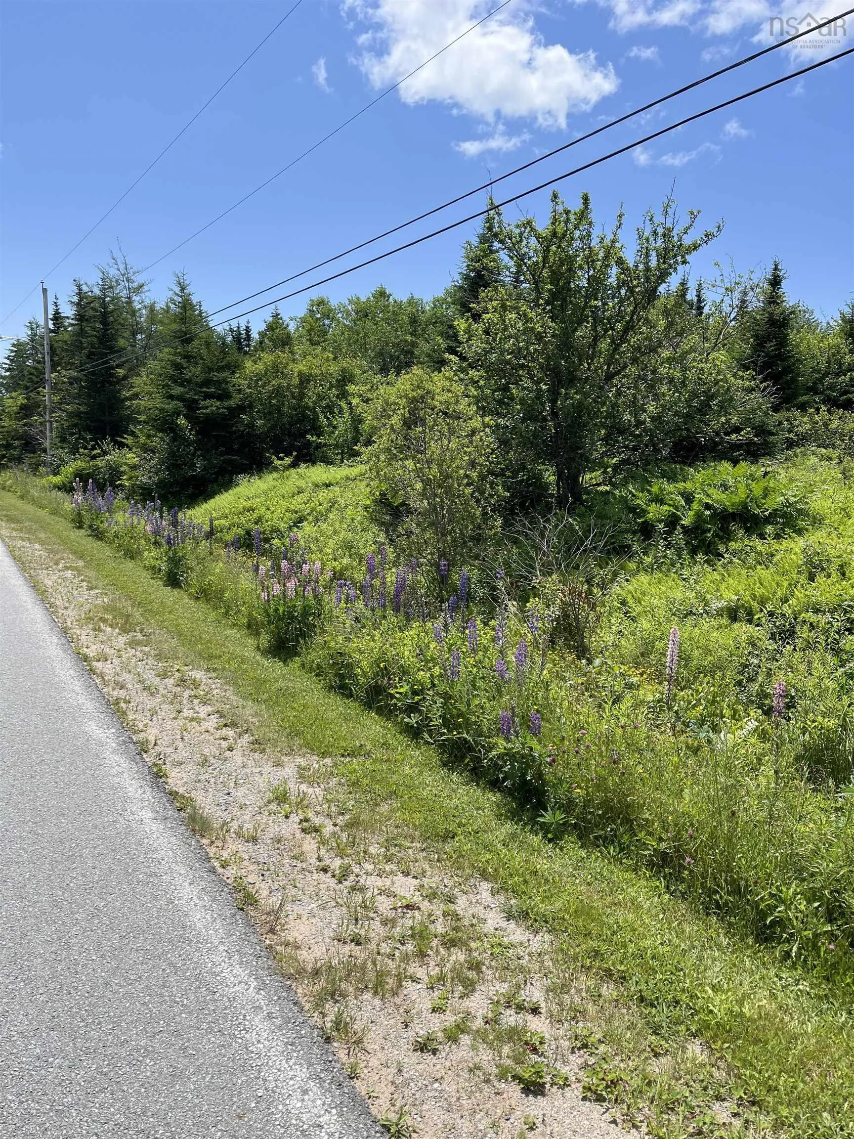 2584 West Ship Harbour Road, Owls Head Harbour, NS B3J 3A5, ,Land,For Sale,West Ship Harbour Road,202516217