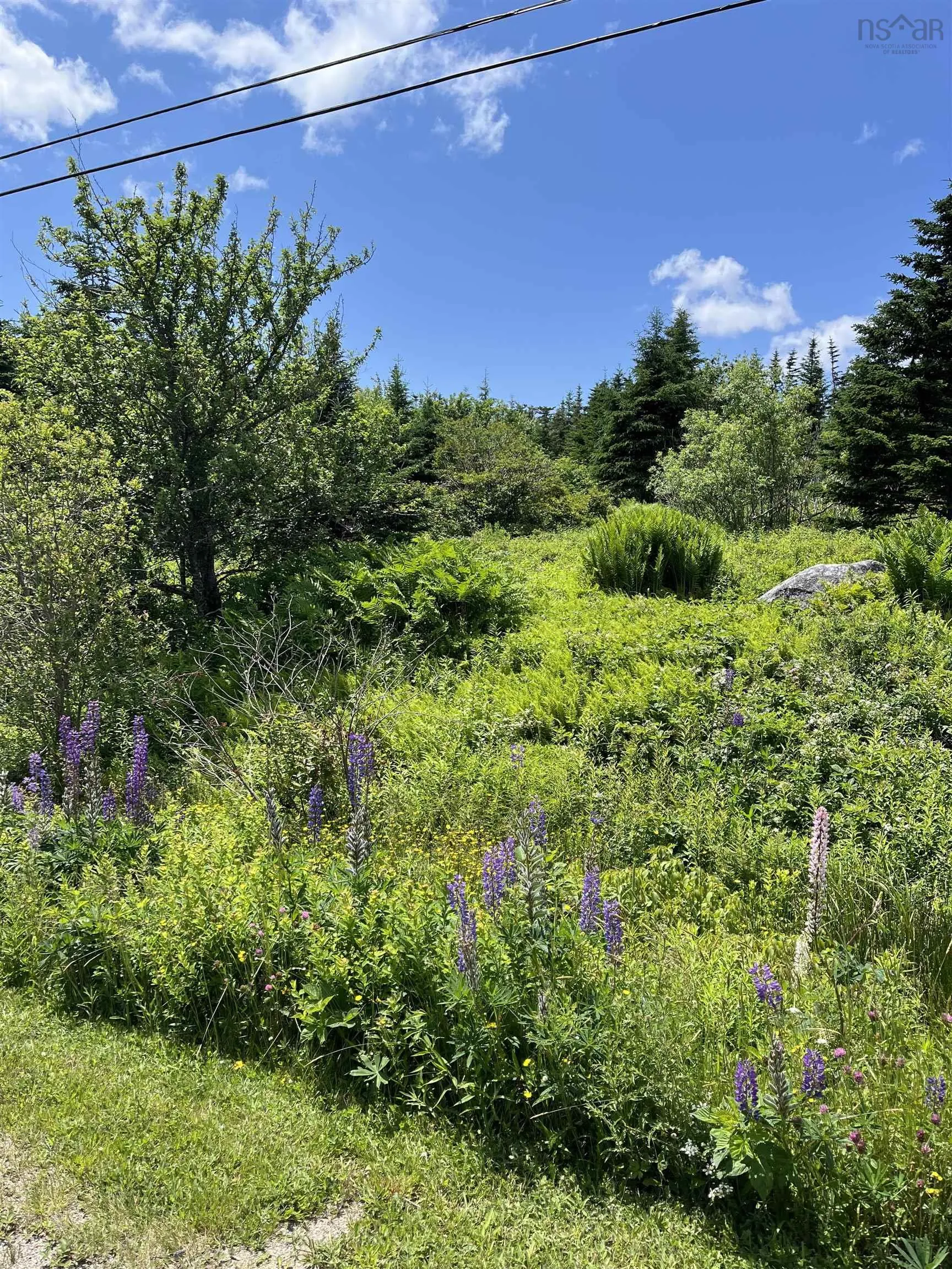 2584 West Ship Harbour Road, Owls Head Harbour, NS B3J 3A5, ,Land,For Sale,West Ship Harbour Road,202516217