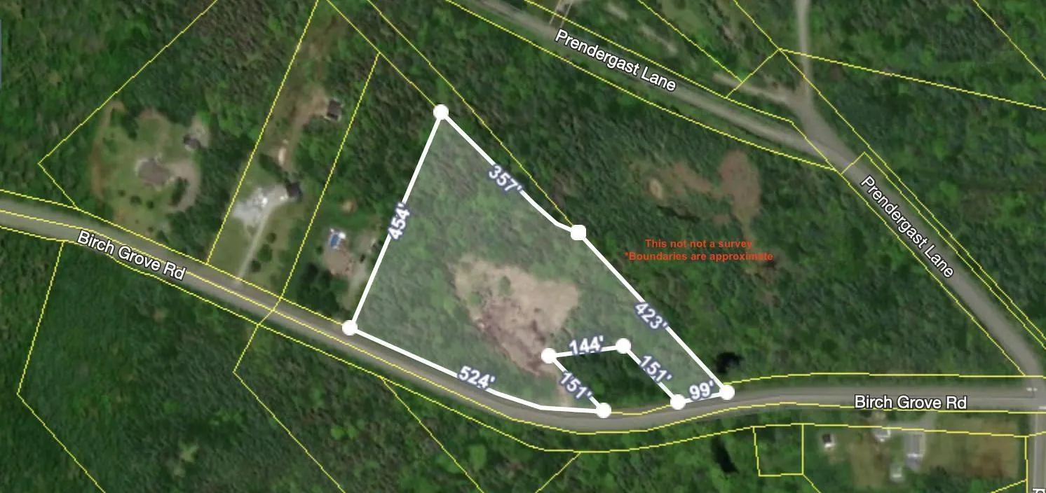 Birch Grove Road, Port Morien, NS B1B 1J3, ,Land,For Sale,Birch Grove Road,202513273