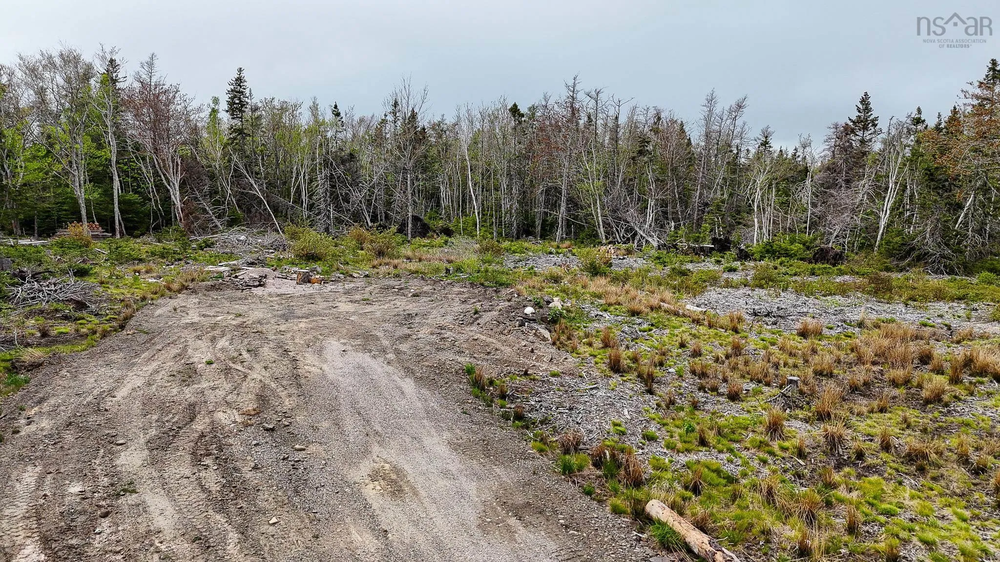 Birch Grove Road, Port Morien, NS B1B 1J3, ,Land,For Sale,Birch Grove Road,202513273