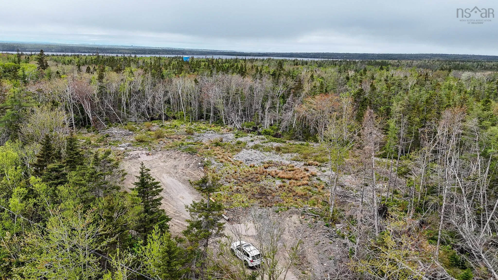 Birch Grove Road, Port Morien, NS B1B 1J3, ,Land,For Sale,Birch Grove Road,202513273