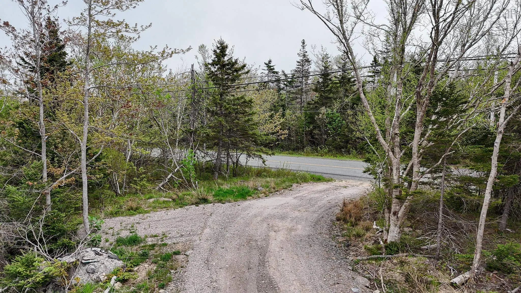Birch Grove Road, Port Morien, NS B1B 1J3, ,Land,For Sale,Birch Grove Road,202513273