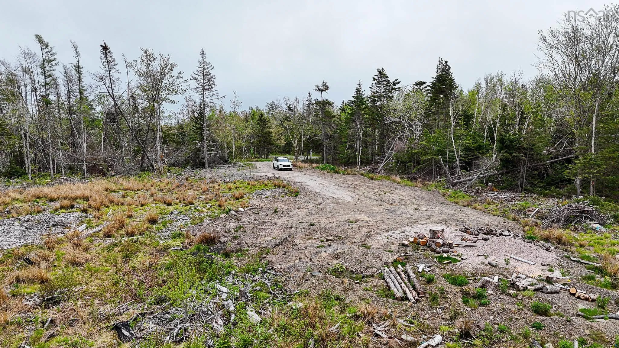 Birch Grove Road, Port Morien, NS B1B 1J3, ,Land,For Sale,Birch Grove Road,202513273