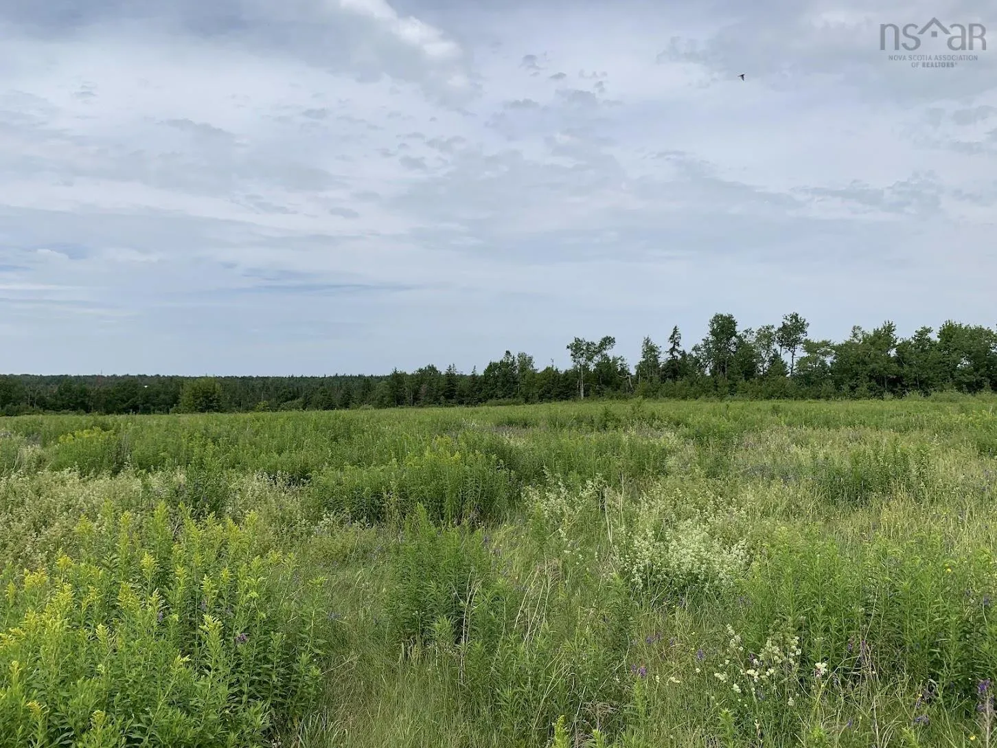 Lot 1 Hunter Road, West Wentworth, NS B0M 1Z0, ,Land,For Sale,Hunter Road,202517865