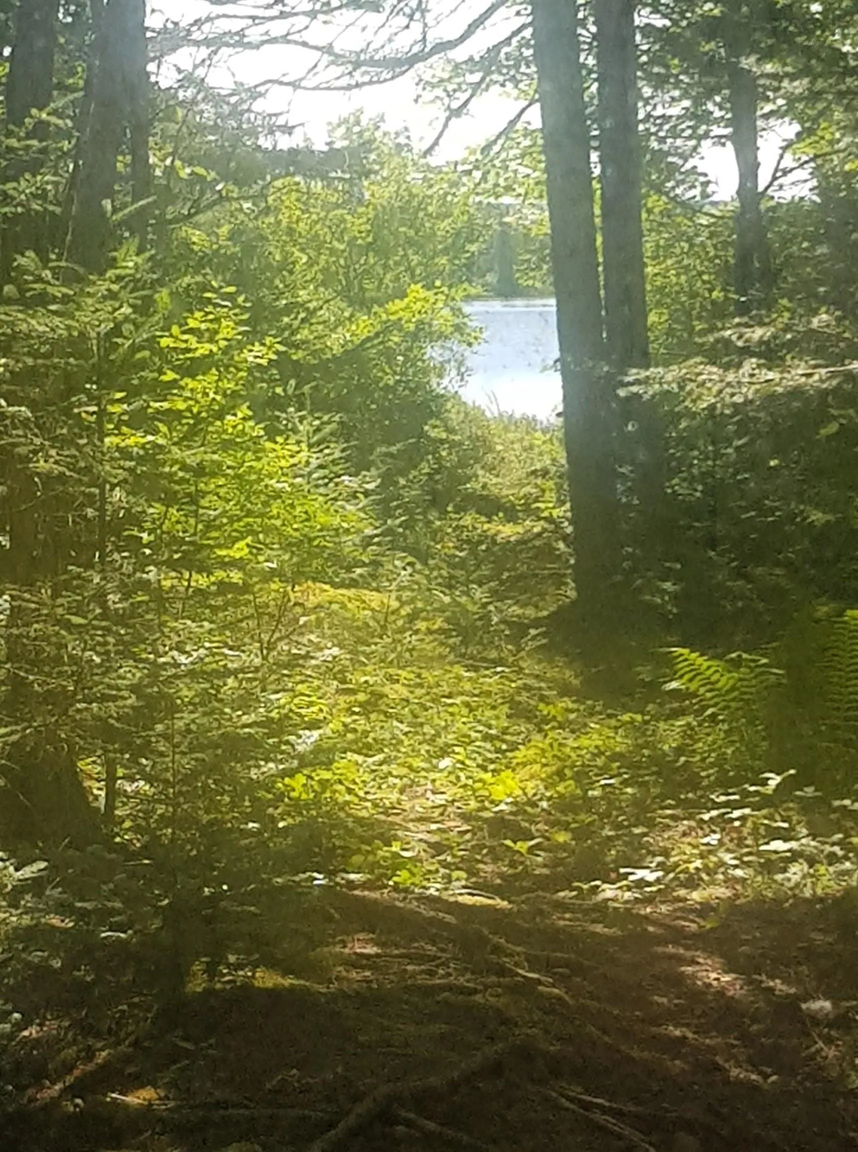 Lot Middle Road, Fort Lawrence, NS B4H 3Y5, 1 Bedroom Bedrooms, ,Residential,For Sale,Middle,202522400