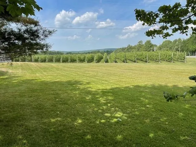 2481 Black Rock Road, Grafton Ns B0p 1v0, 5 Bedrooms Bedrooms, ,3 BathroomsBathrooms,Residential,For Sale,Black Rock,202414704