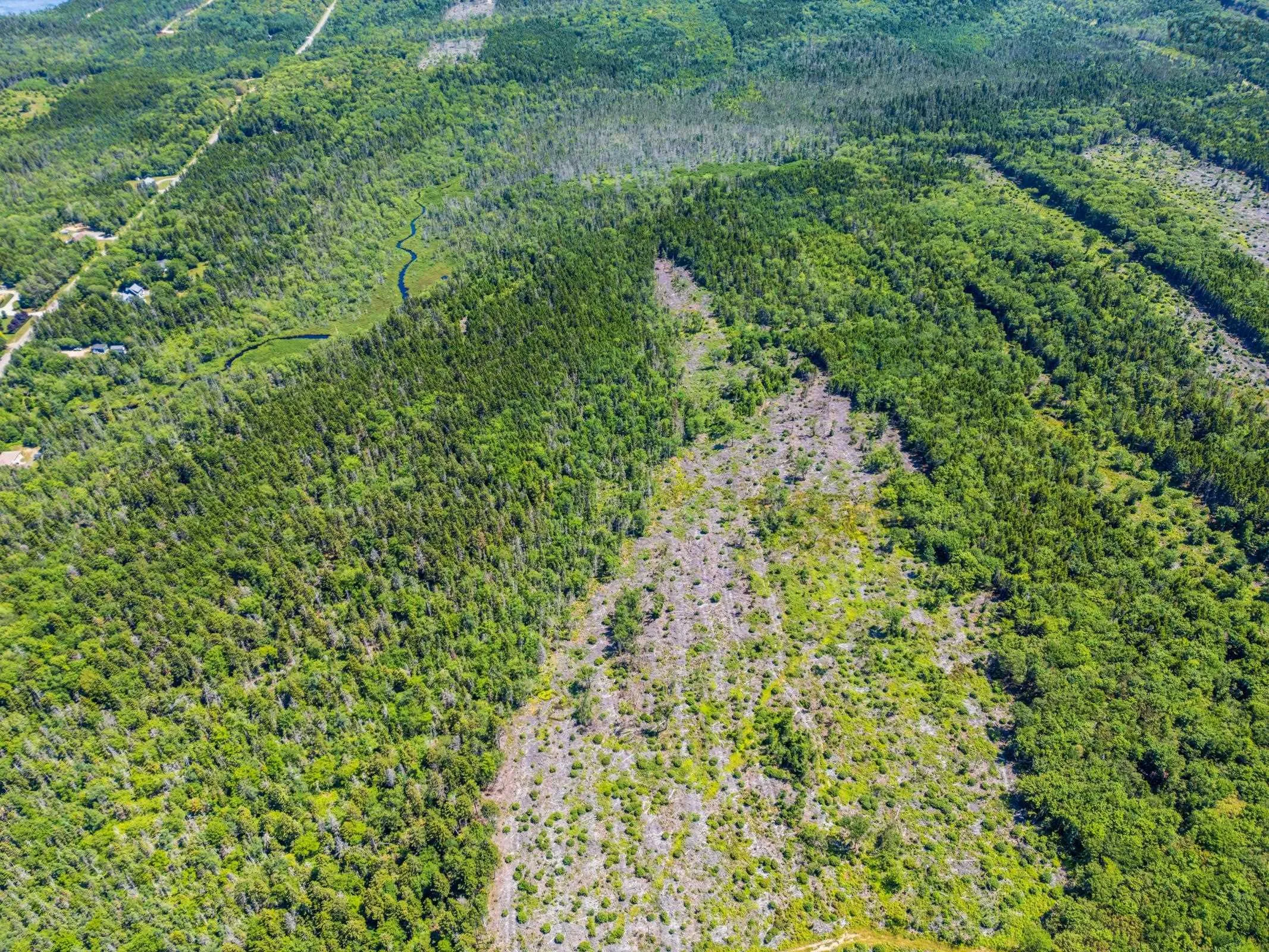 Lots Peter Leblanc Road, Meteghan, NS B0W 2J0, ,Land,For Sale,Peter Leblanc Road,202517662