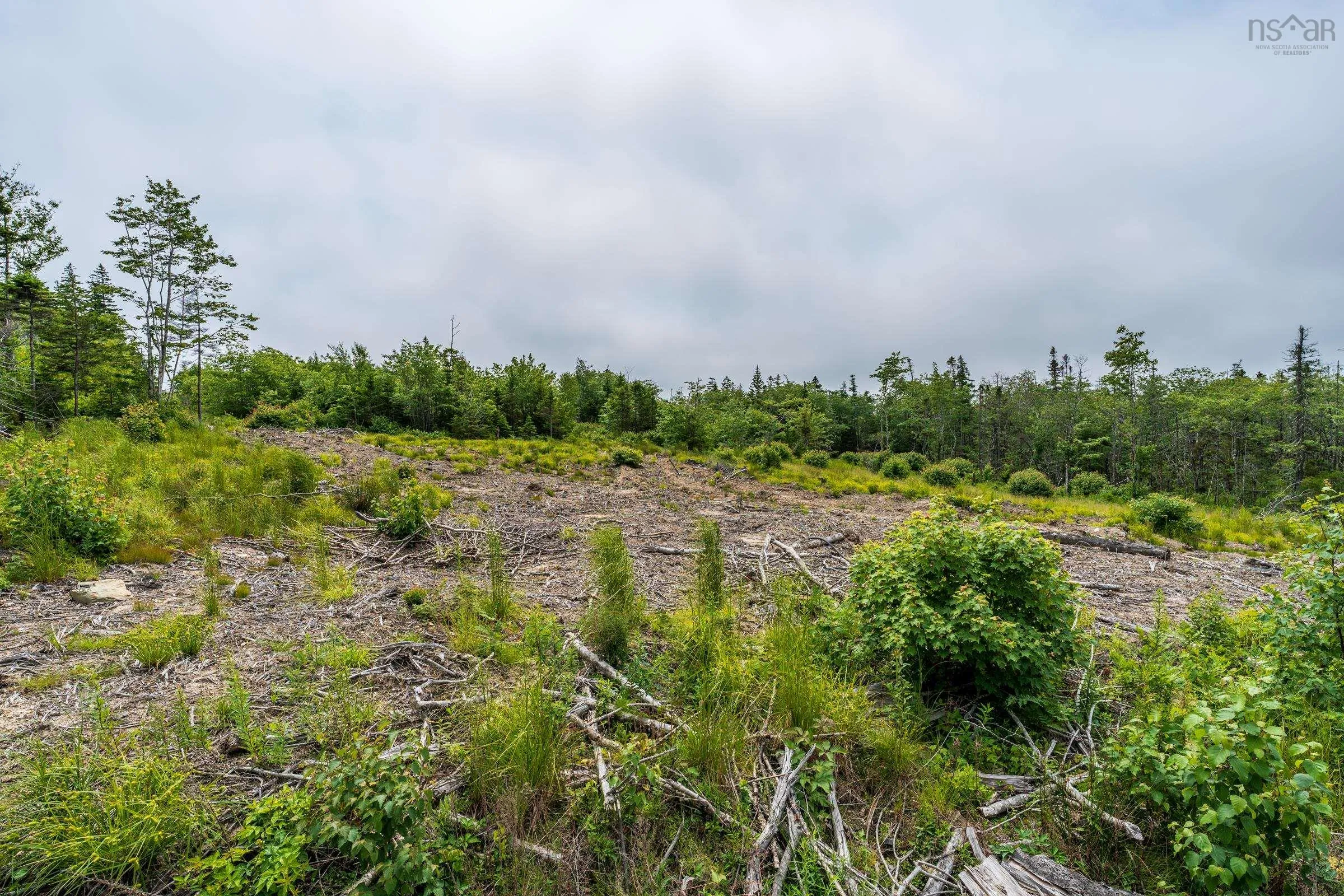 Lots Peter Leblanc Road, Meteghan, NS B0W 2J0, ,Land,For Sale,Peter Leblanc Road,202517662
