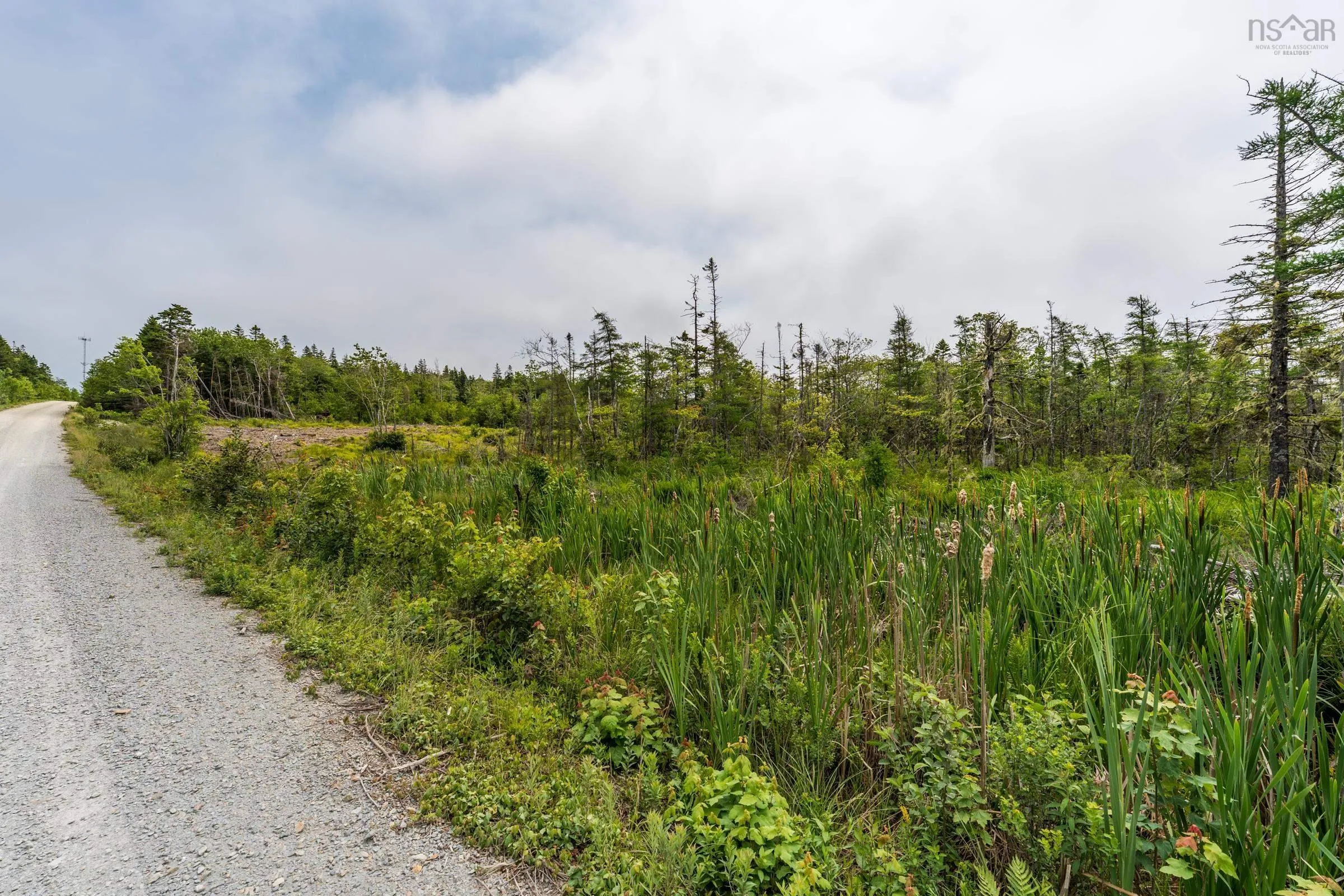Lots Peter Leblanc Road, Meteghan, NS B0W 2J0, ,Land,For Sale,Peter Leblanc Road,202517662