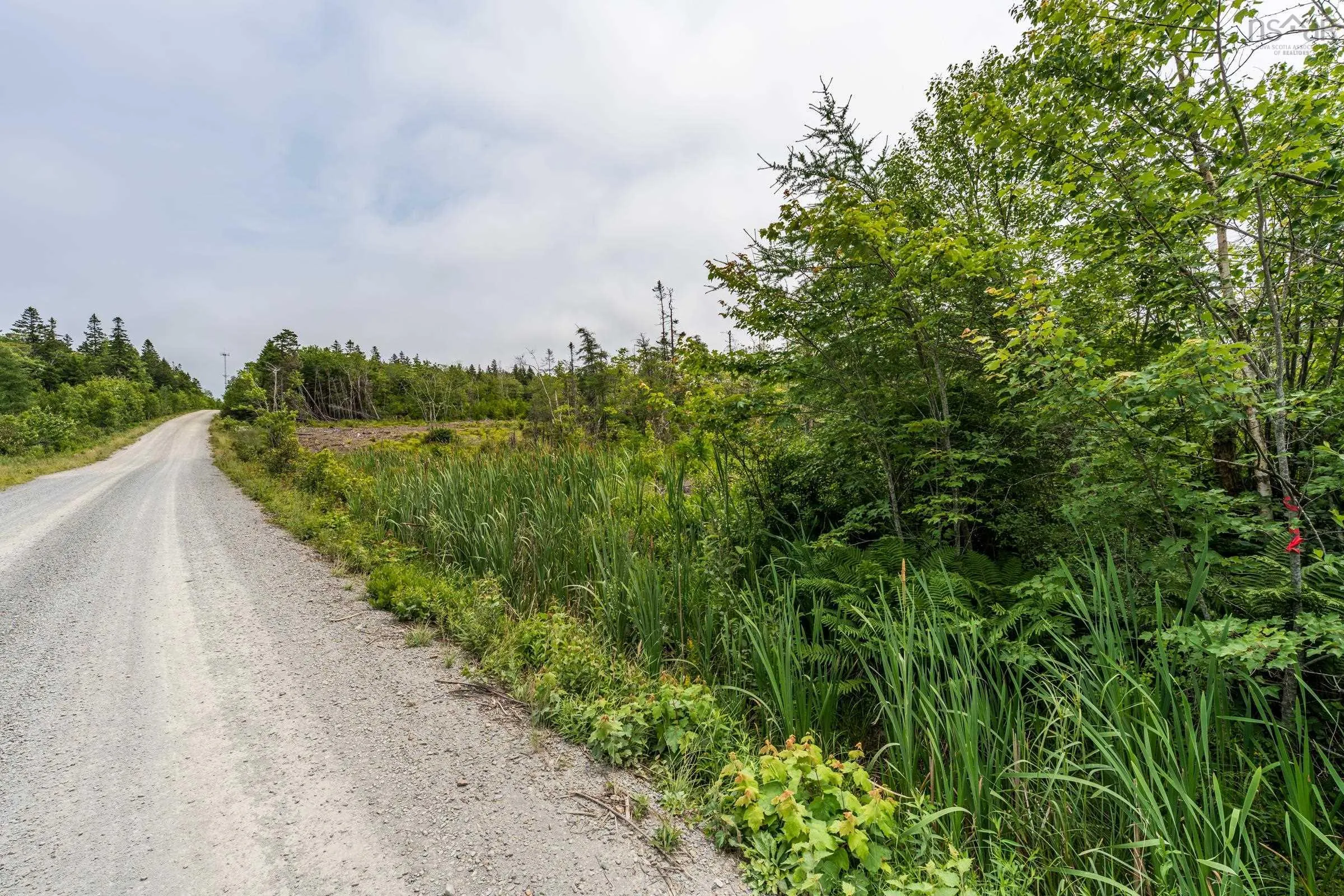 Lots Peter Leblanc Road, Meteghan, NS B0W 2J0, ,Land,For Sale,Peter Leblanc Road,202517662