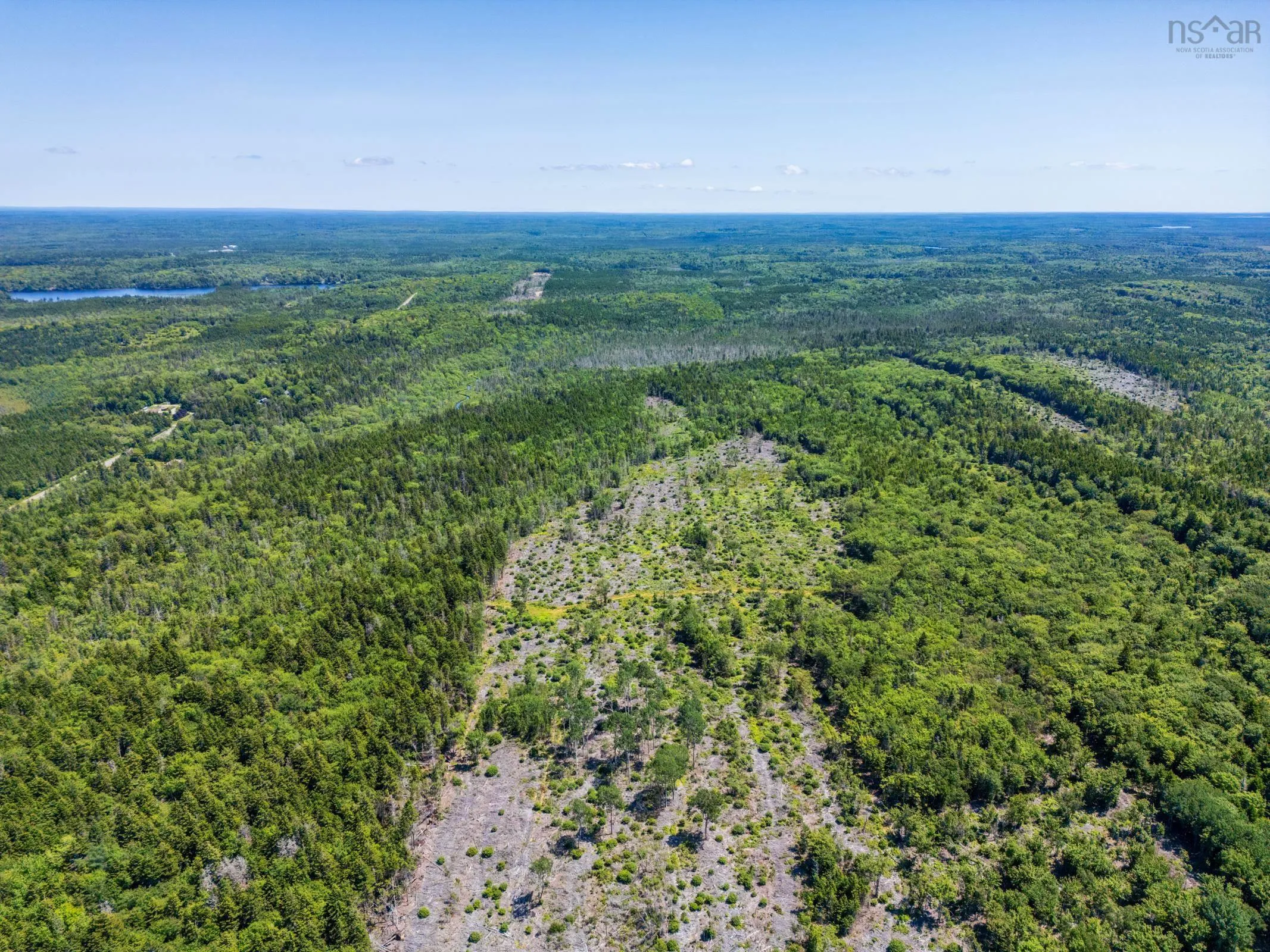 Lots Peter Leblanc Road, Meteghan, NS B0W 2J0, ,Land,For Sale,Peter Leblanc Road,202517662