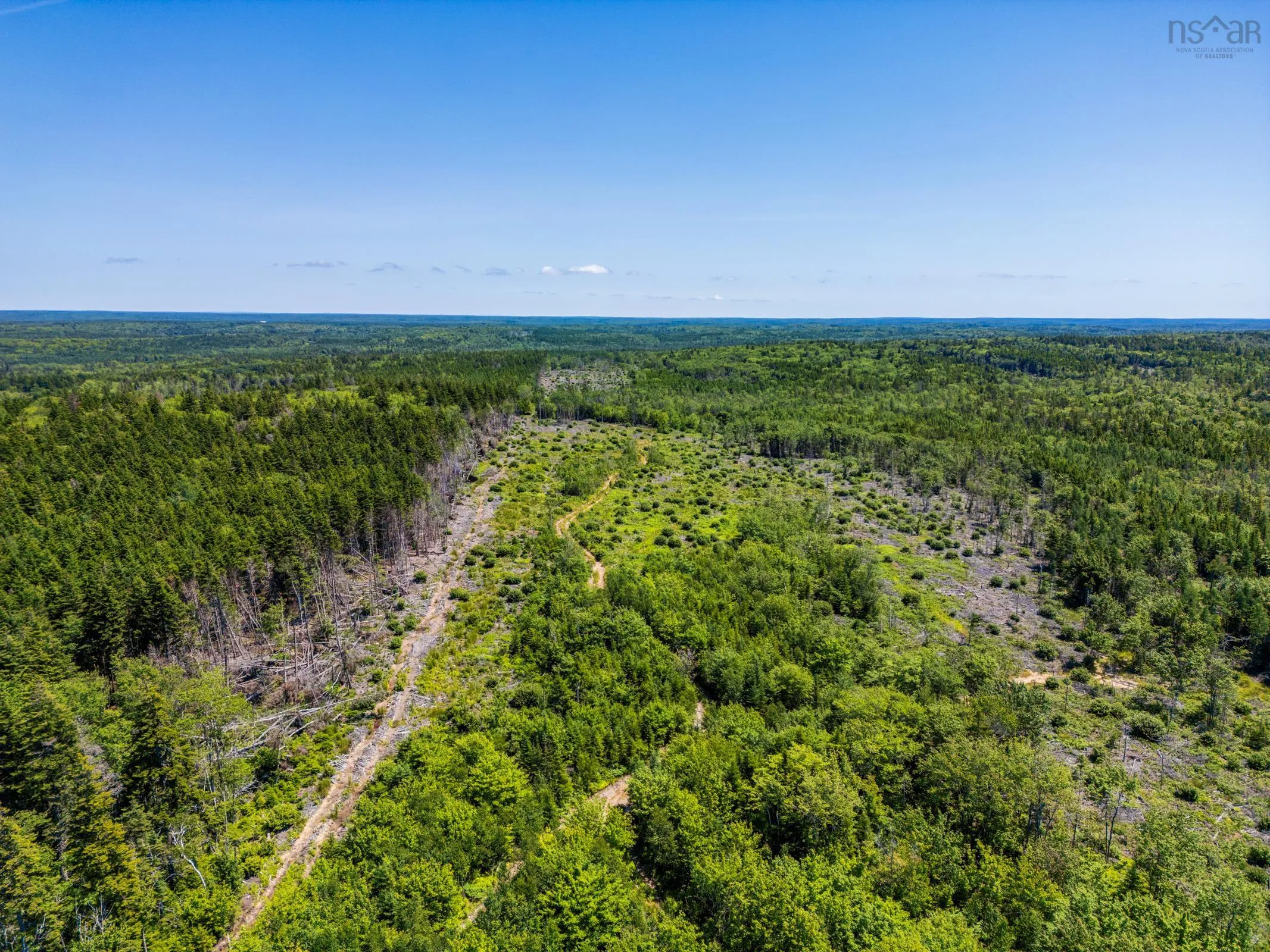 Lots Peter Leblanc Road, Meteghan, NS B0W 2J0, ,Land,For Sale,Peter Leblanc Road,202517662