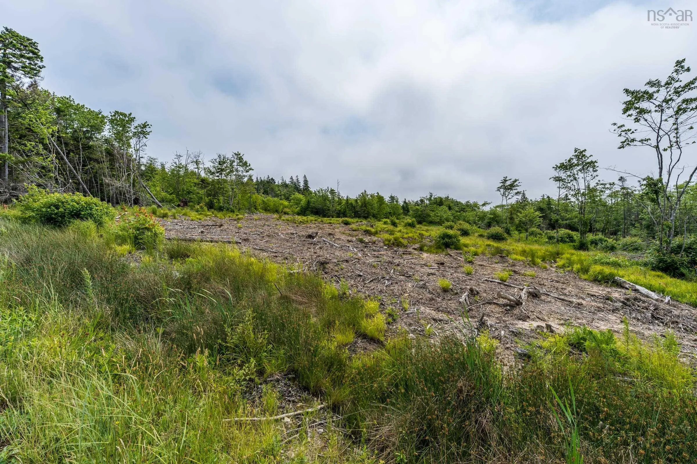 Lots Peter Leblanc Road, Meteghan, NS B0W 2J0, ,Land,For Sale,Peter Leblanc Road,202517662