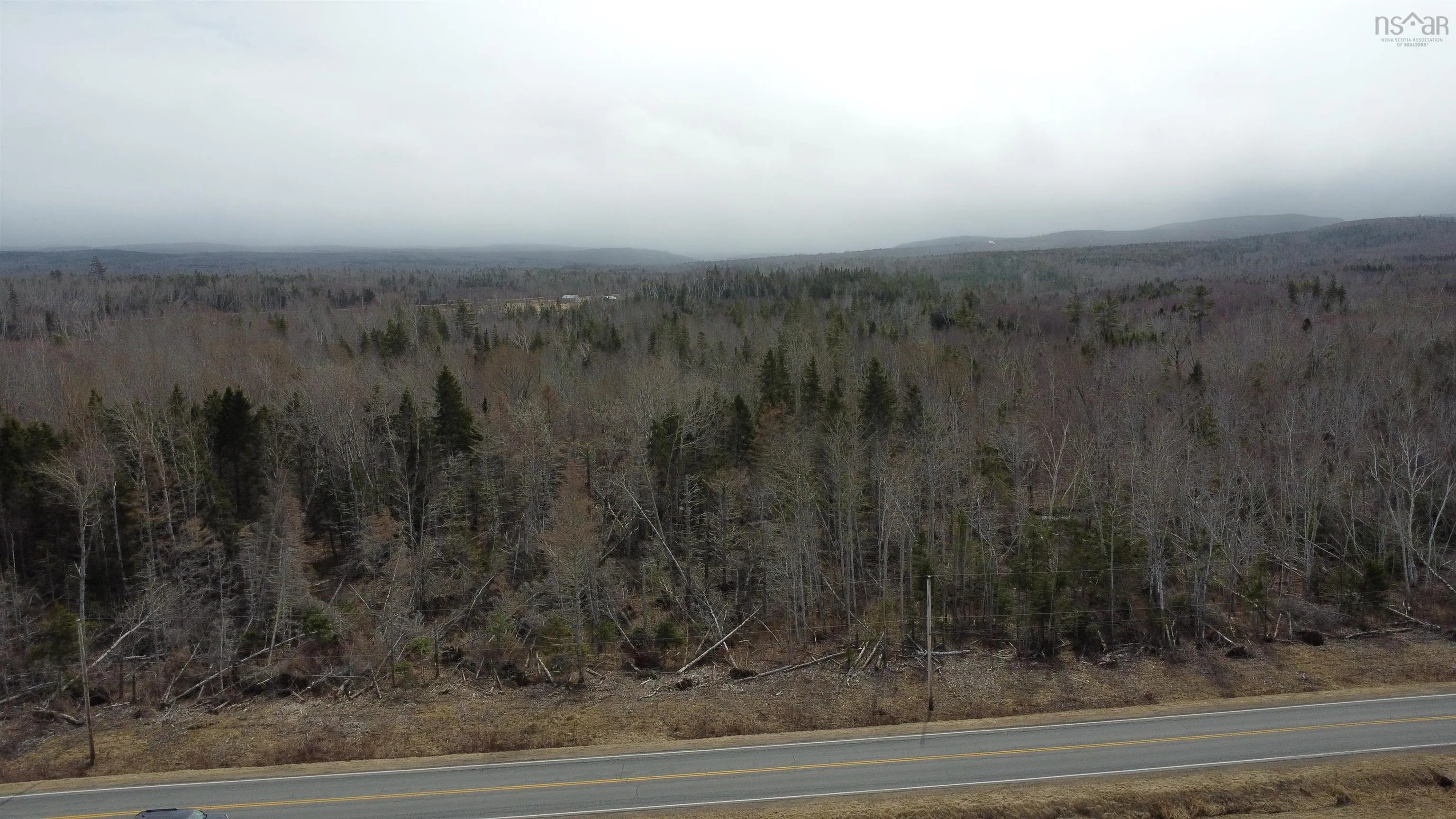 Scotsburn Road, West Branch Ns B0k 1r0, ,Land,For Sale,Scotsburn,202505767