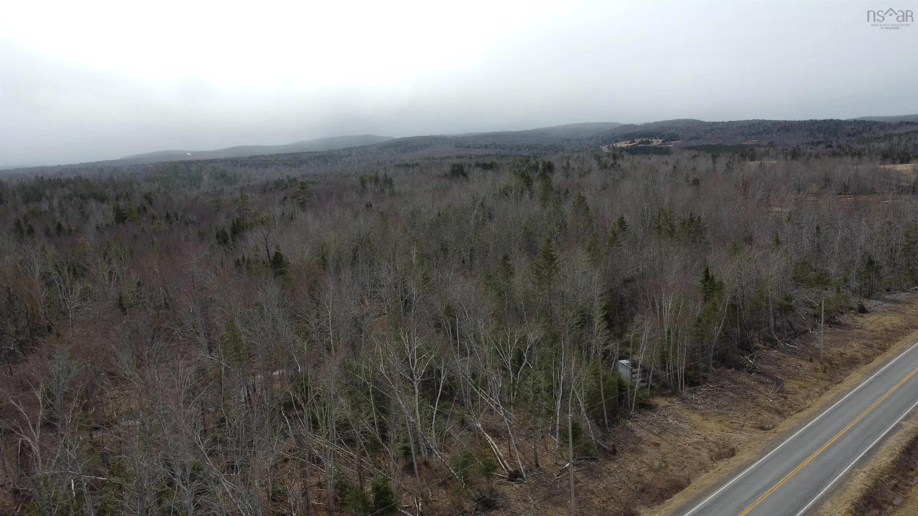 Scotsburn Road, West Branch Ns B0k 1r0, ,Land,For Sale,Scotsburn,202505767