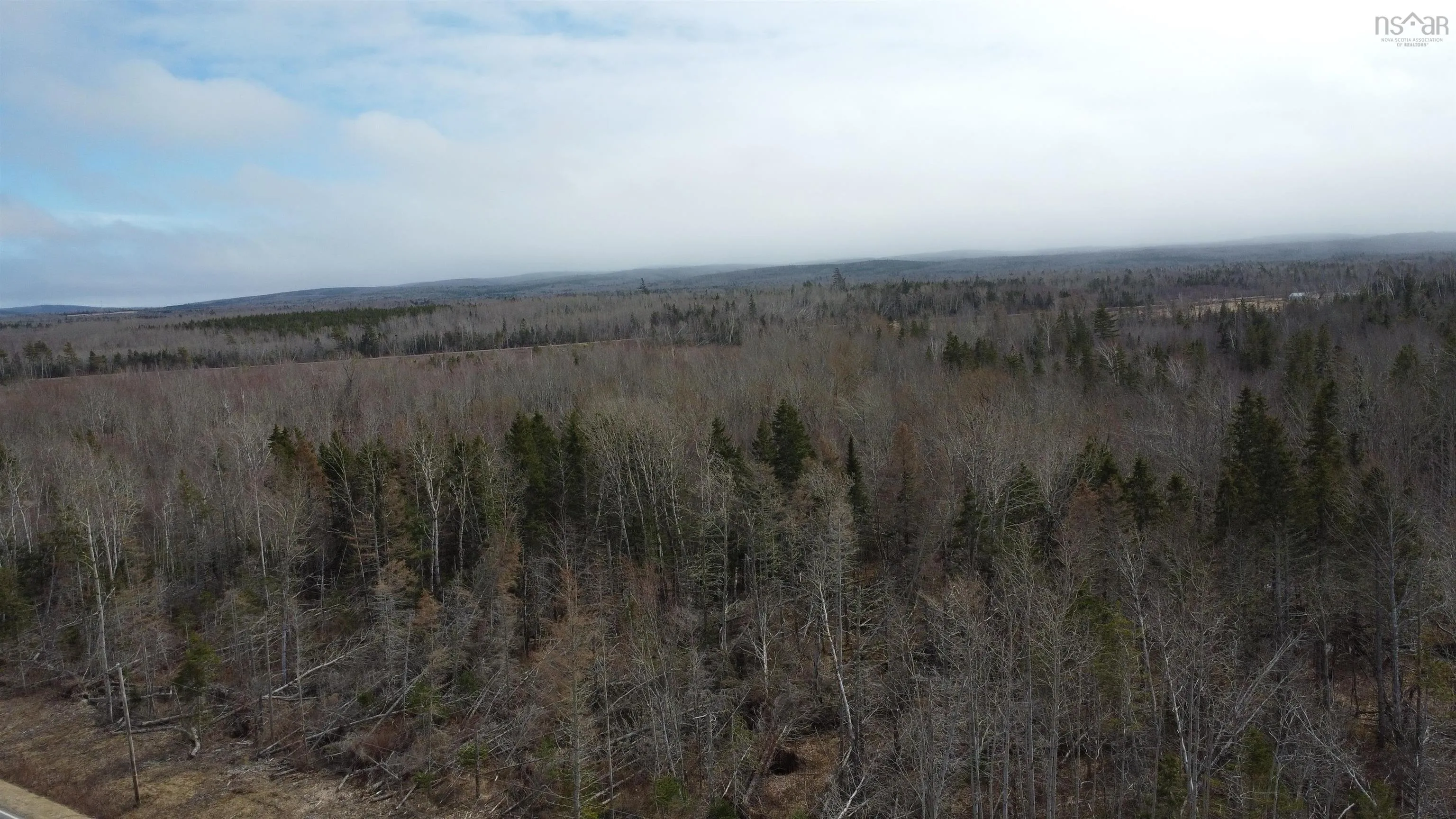 Scotsburn Road, West Branch Ns B0k 1r0, ,Land,For Sale,Scotsburn,202505767