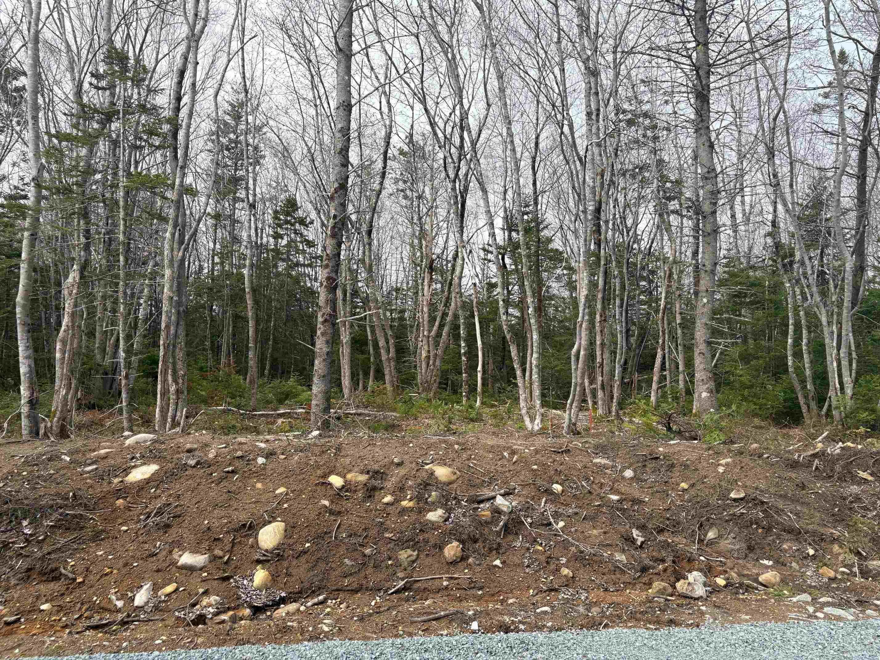 Larry Seldon Lane Lot 7, Western Head, NS B0T 1K0, ,Land,For Sale,Larry Seldon,202427652