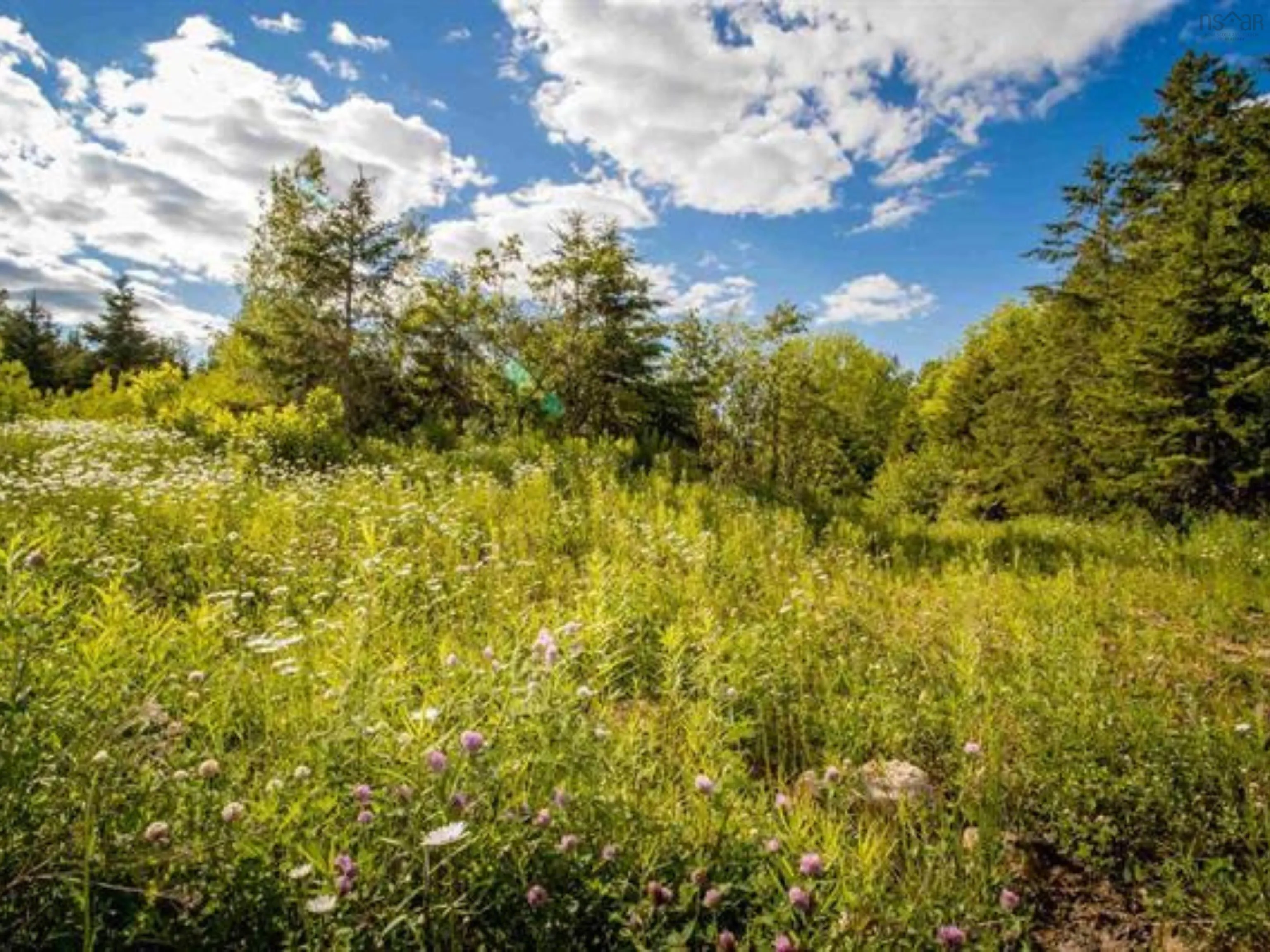 Aylesford Road Lot A5, Lake Paul Ns B0p 1c0, ,Land,For Sale,Aylesford,202507756