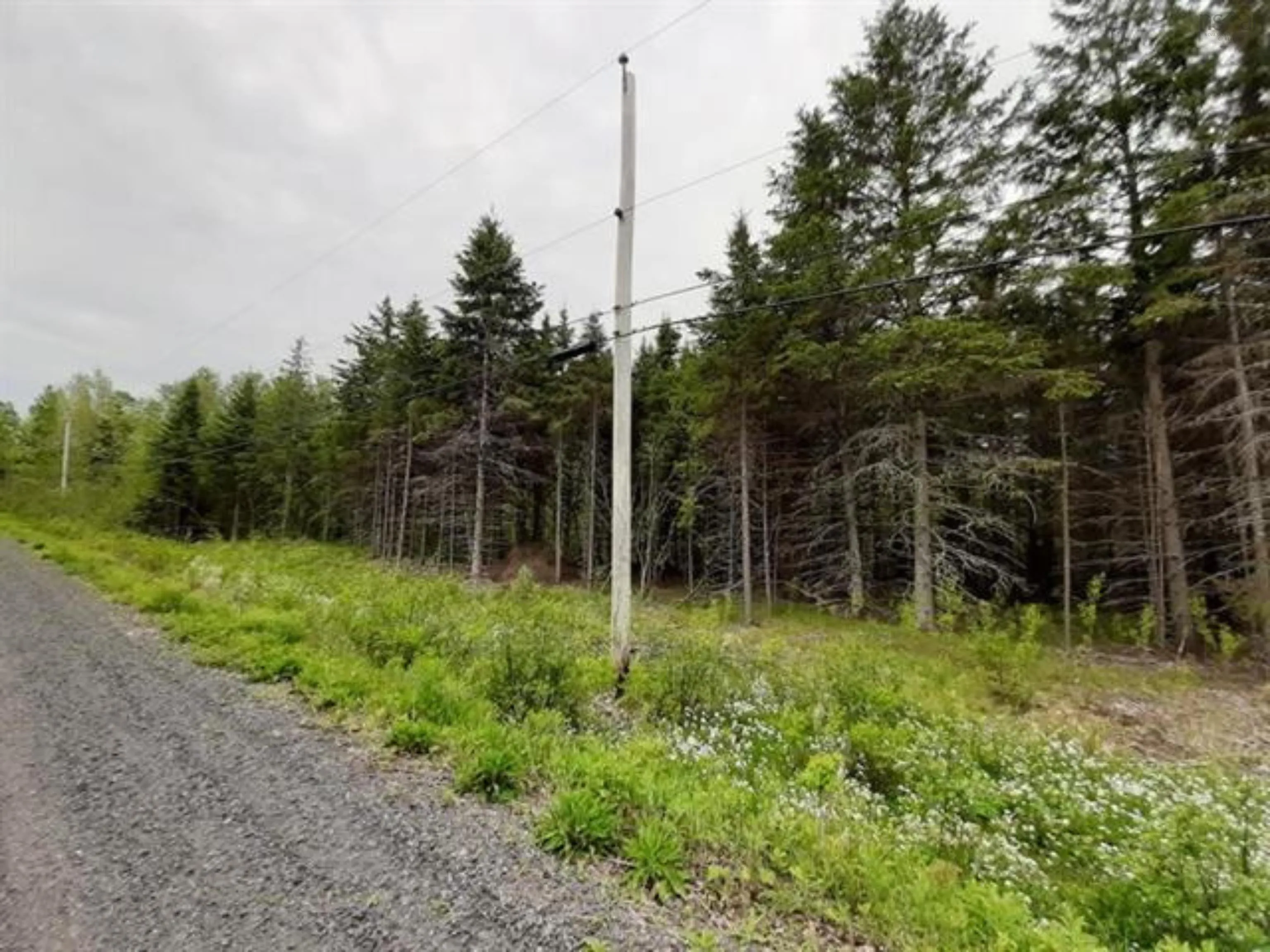 Aylesford Road Lot A5, Lake Paul Ns B0p 1c0, ,Land,For Sale,Aylesford,202507756