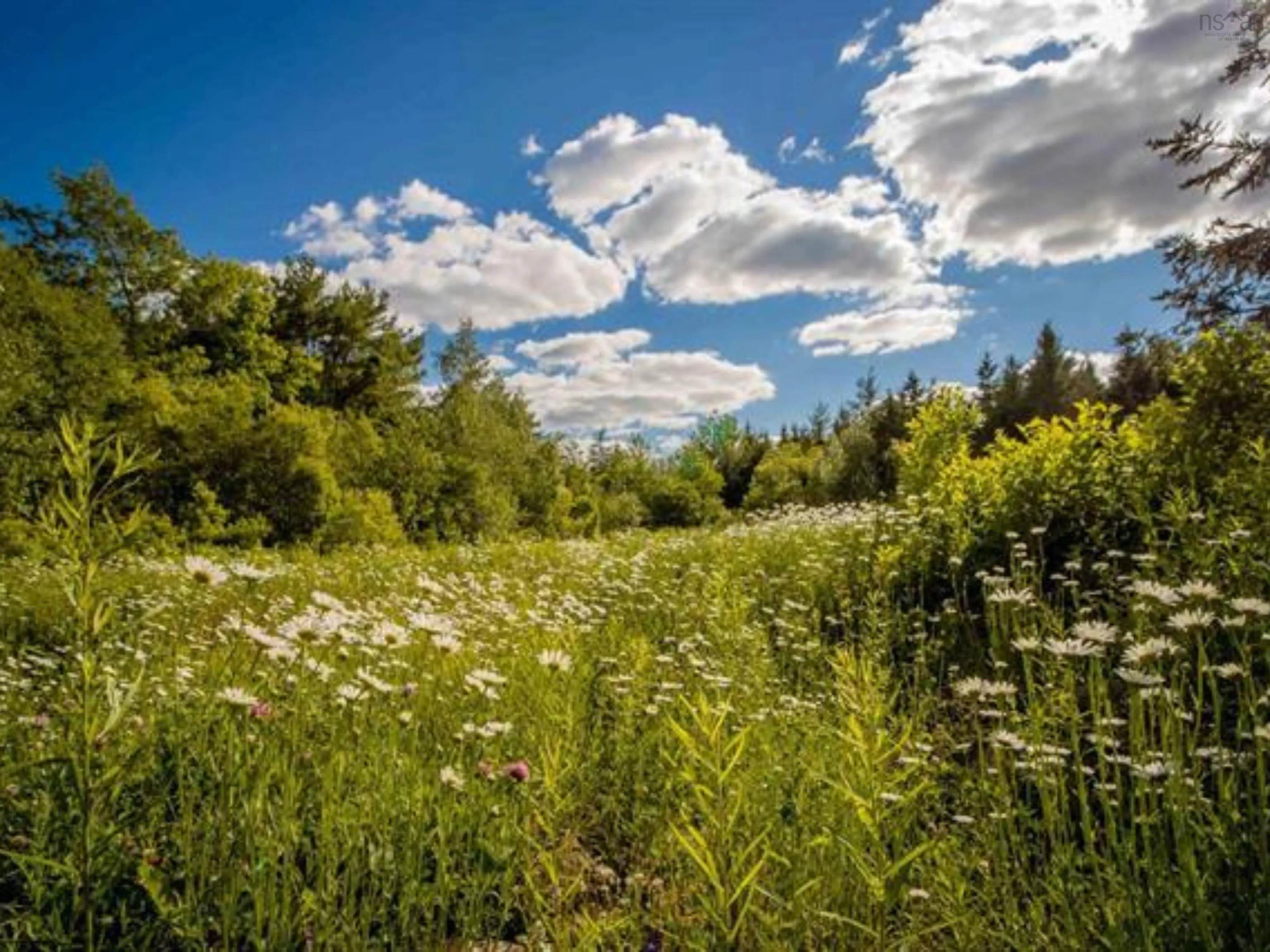 Aylesford Road Lot A5, Lake Paul Ns B0p 1c0, ,Land,For Sale,Aylesford,202507756